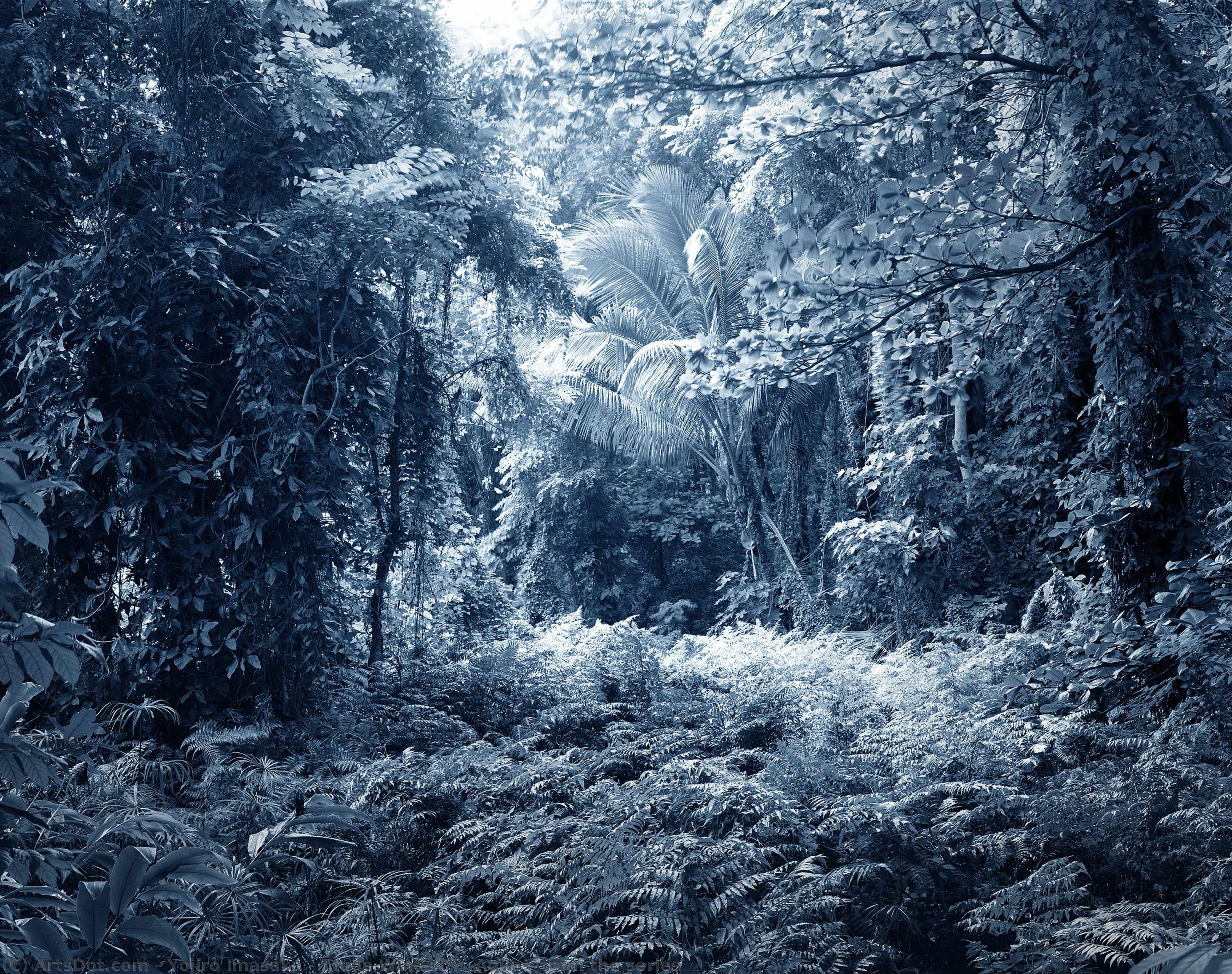 Trade Winds 07 (aqua), From The Series — Yojiro Imasaka