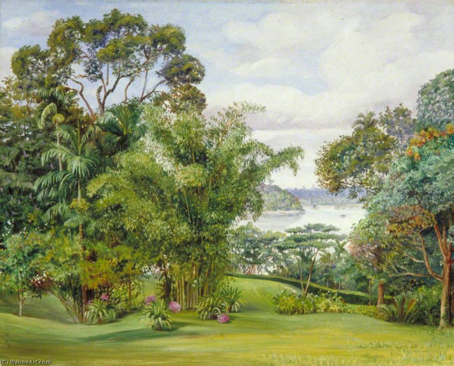 Blick Auf Den Fluss Aus Dem Garten Des Rajah, Sarawak, Borneo — Marianne North