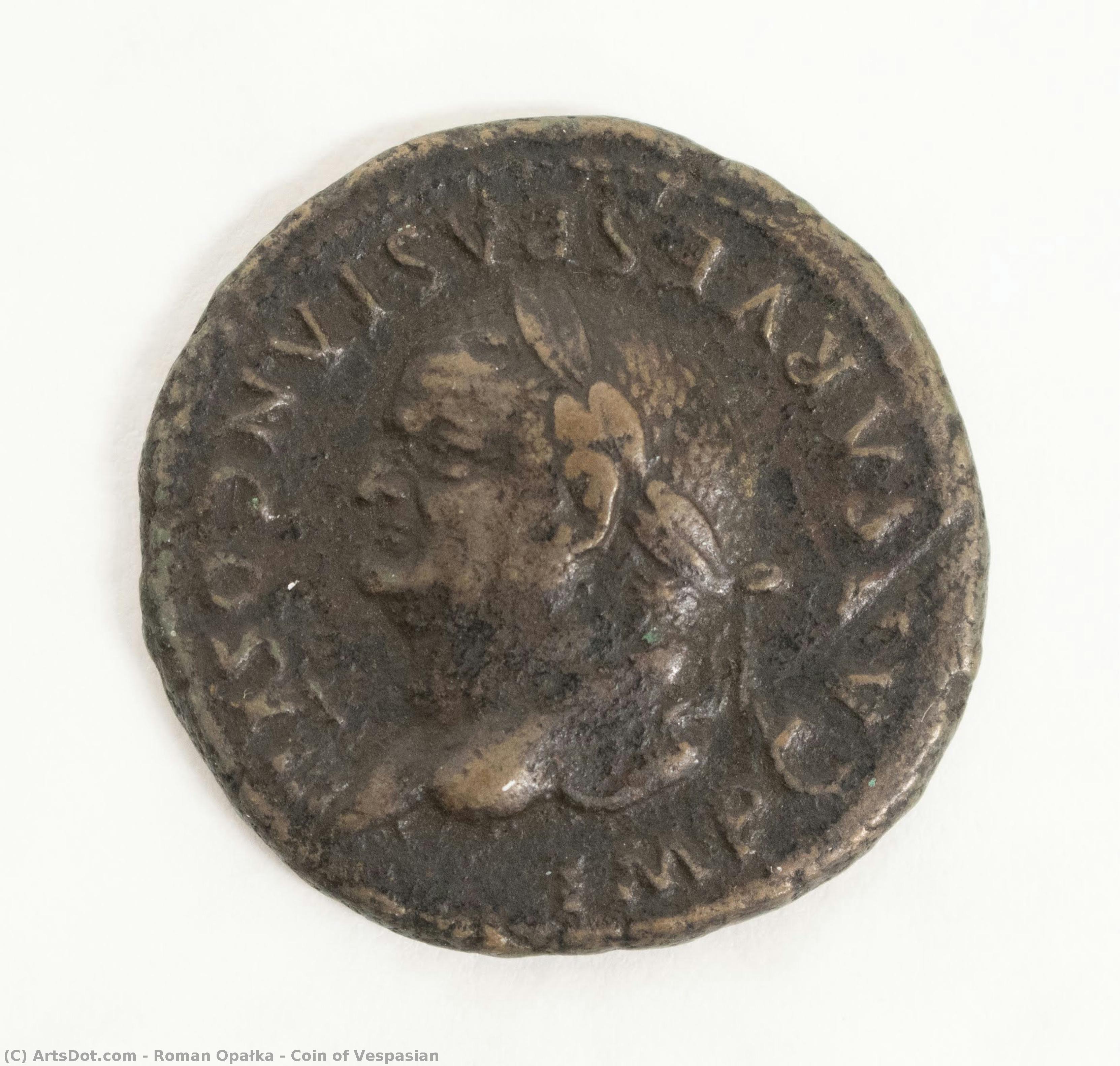Coin Of Vespasian — Roman Opałka