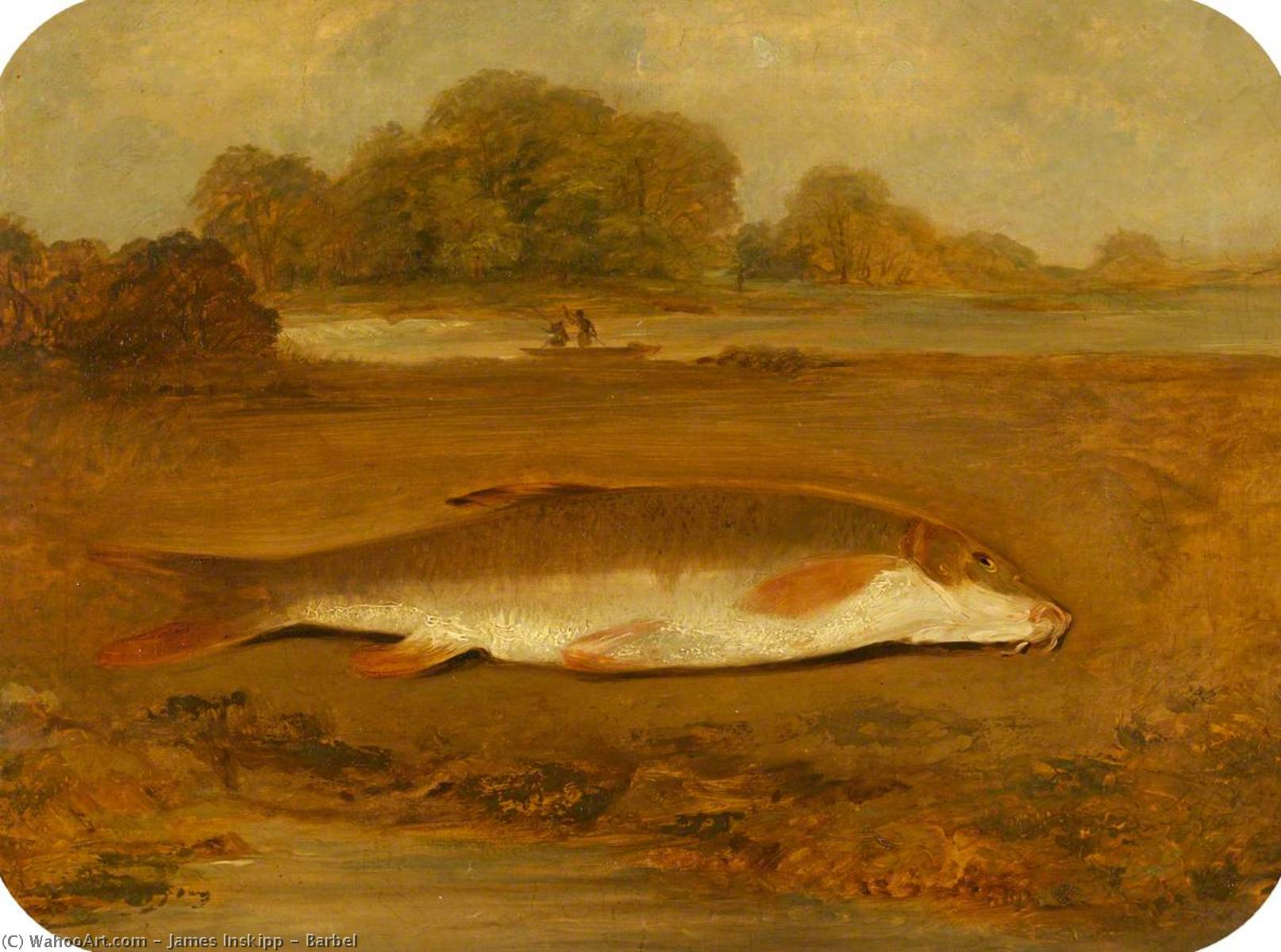 Barbel — James Inskipp