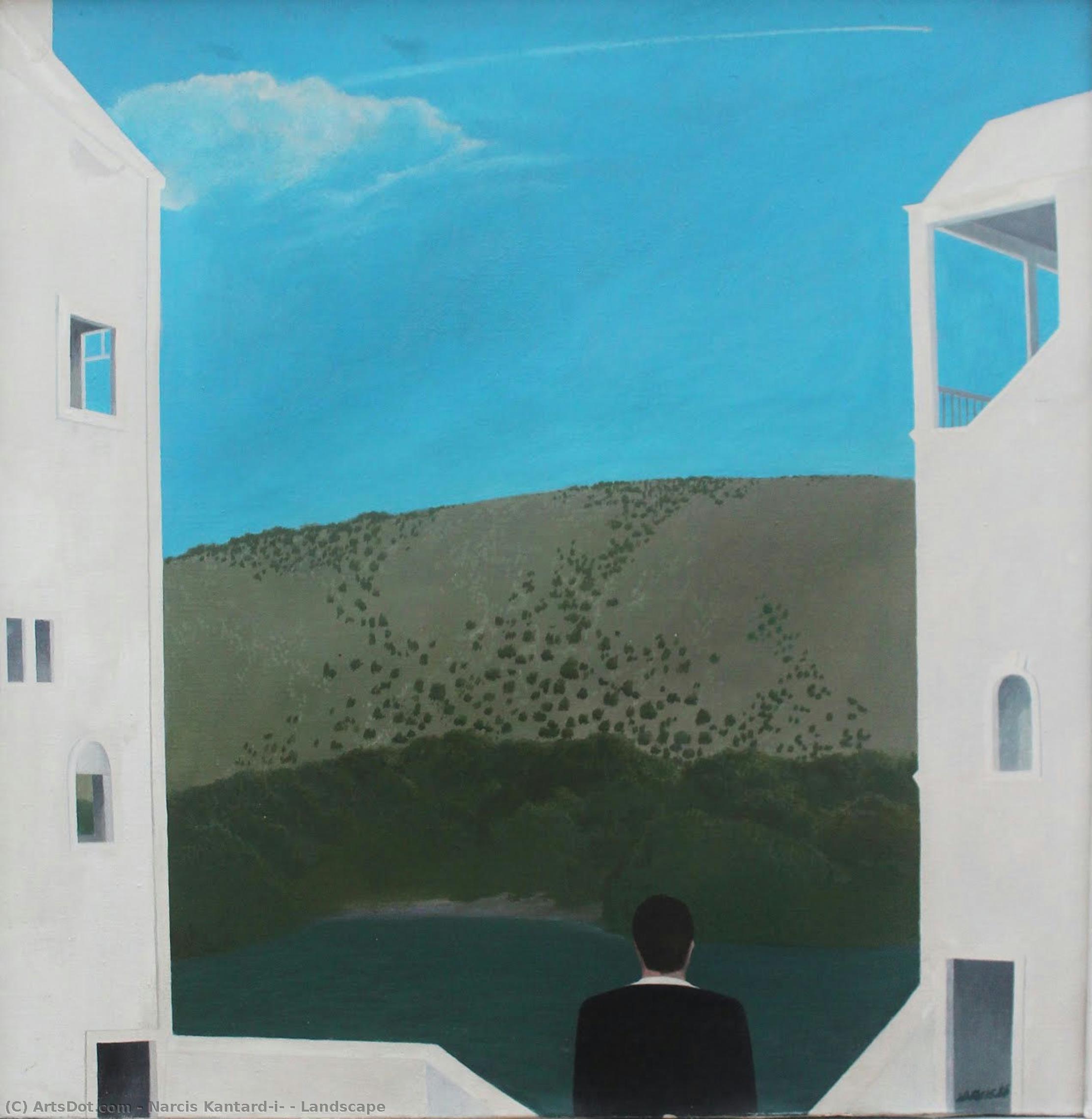 Landscape — Narcis Kantardžić