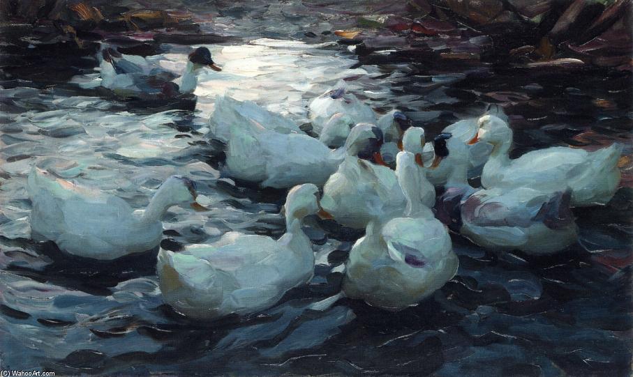 Ducks Feeding — Alexander Max Koeste