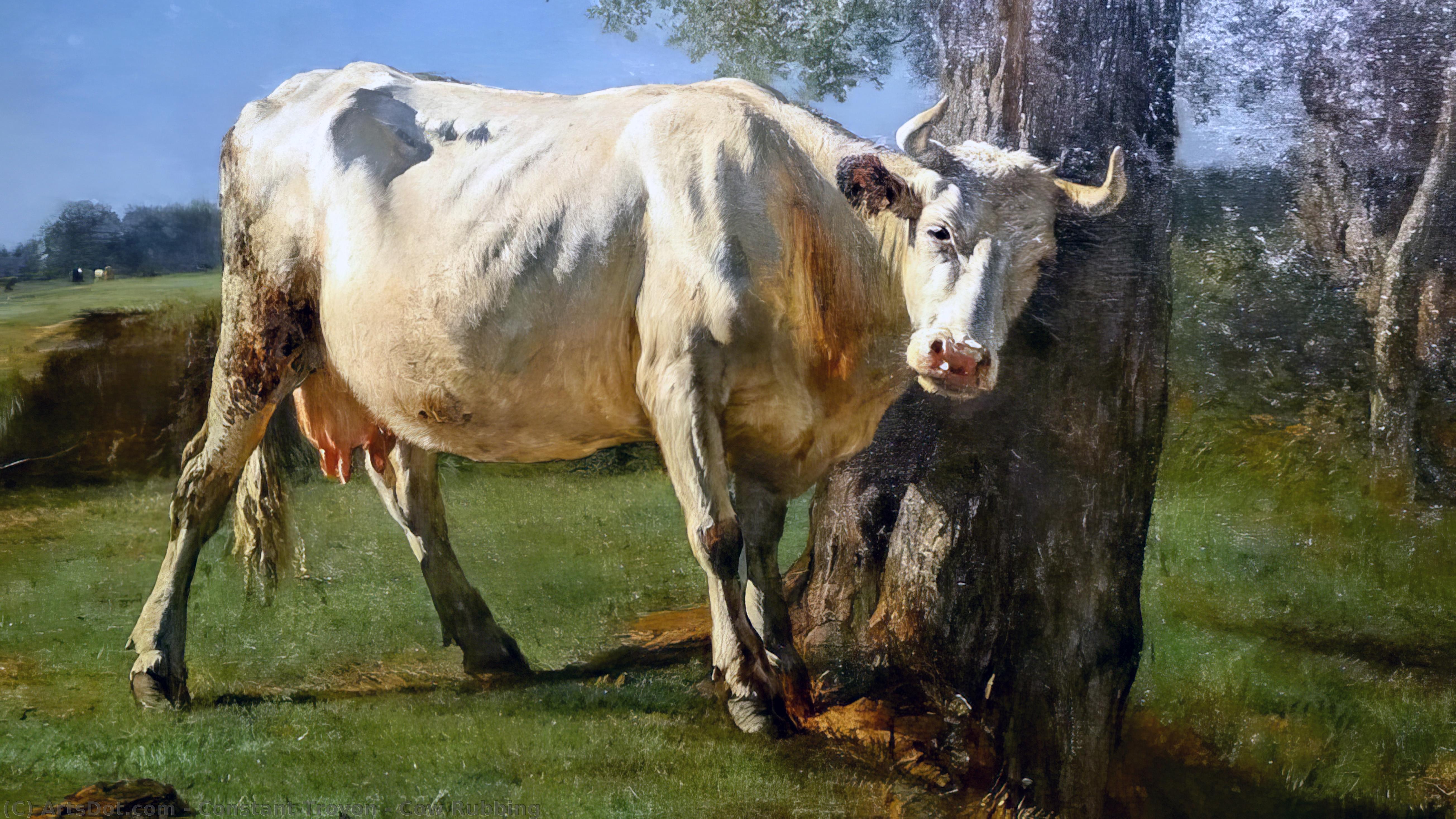 Cow Rubbing — コンスタン・トロワヨン