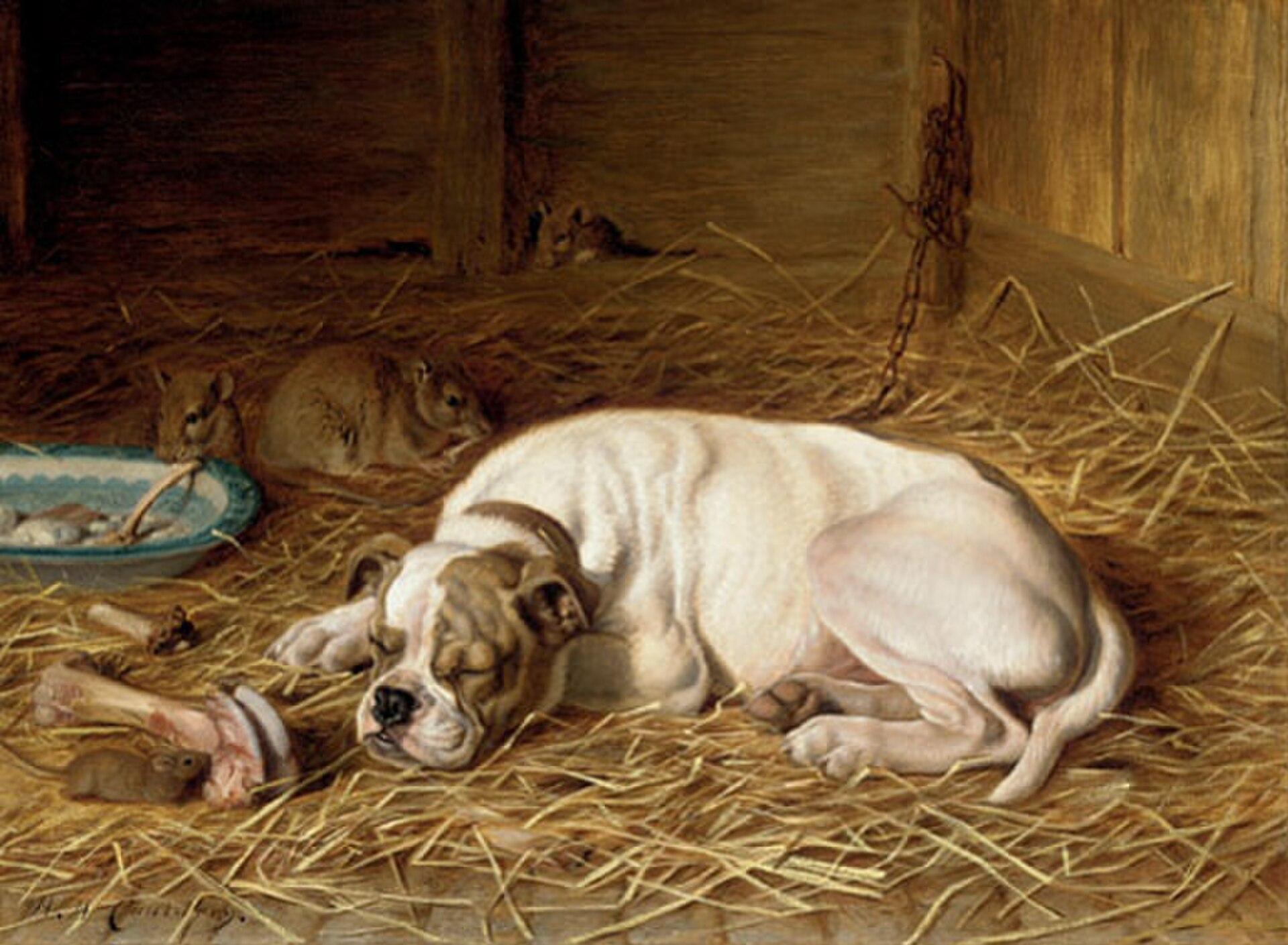 Caught Napping — Horatio Henry Couldery