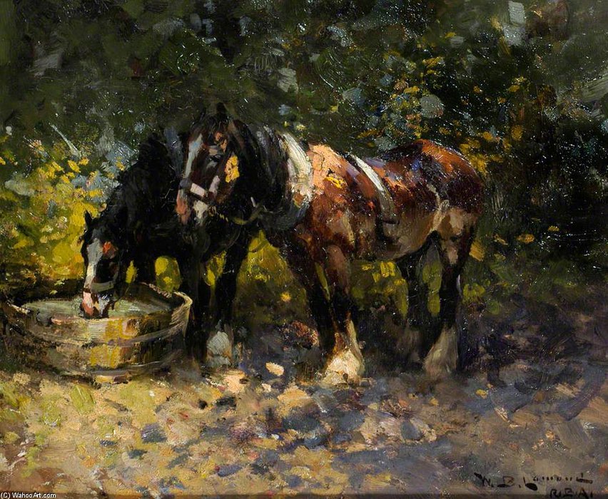 The Water Tub — William Bradley Lamond
