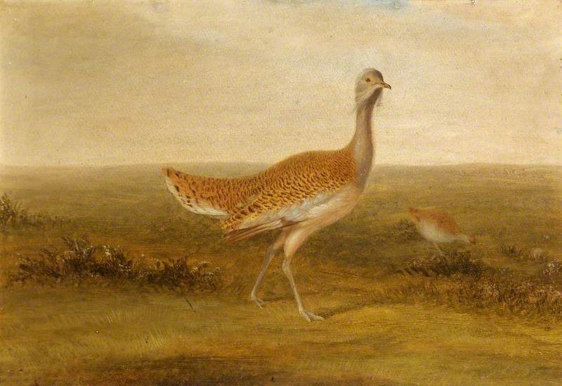 A Pair Of Great Bustards On Salisbury Plain, Wiltshire Showing Stonehenge In The Background — Henry Grant