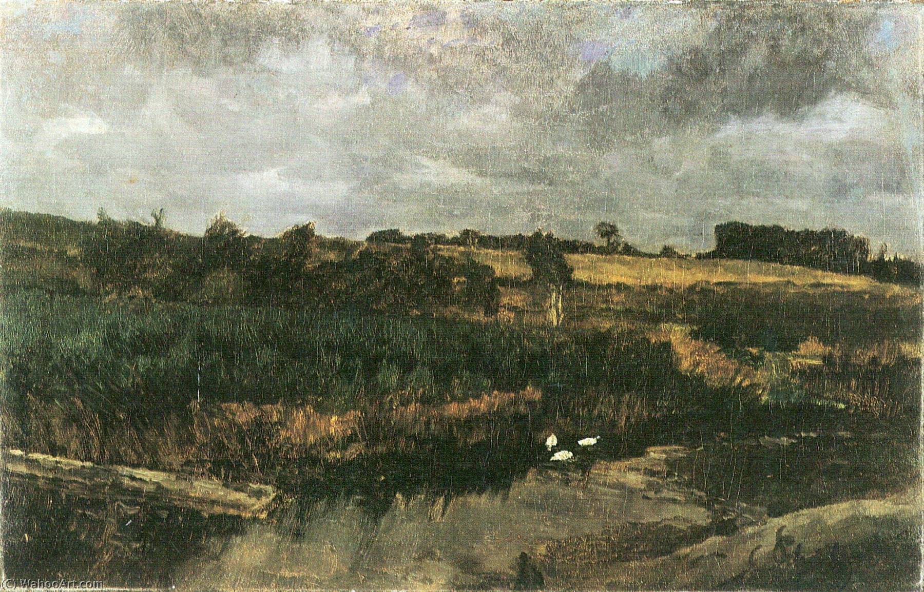 German Schilfffeld Mit Enten (gewitterstimmung Bei Ferch) — Carl Eduard Schuch