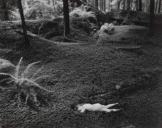 Child In Forest — Wynn Bullock