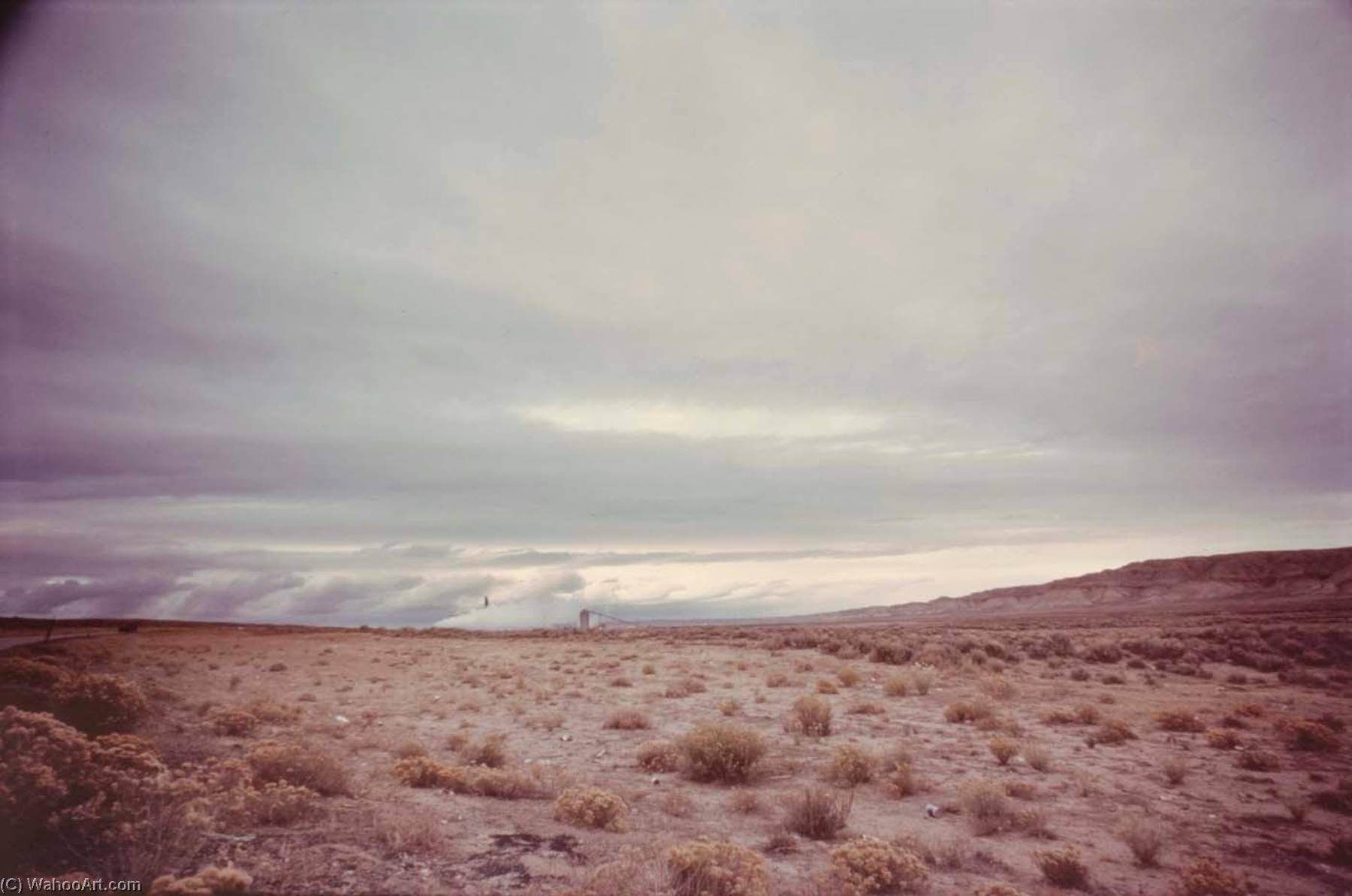 Bitter Creek Resident, From The Wyoming Documentary Survey Project — Penny Diane Wolin