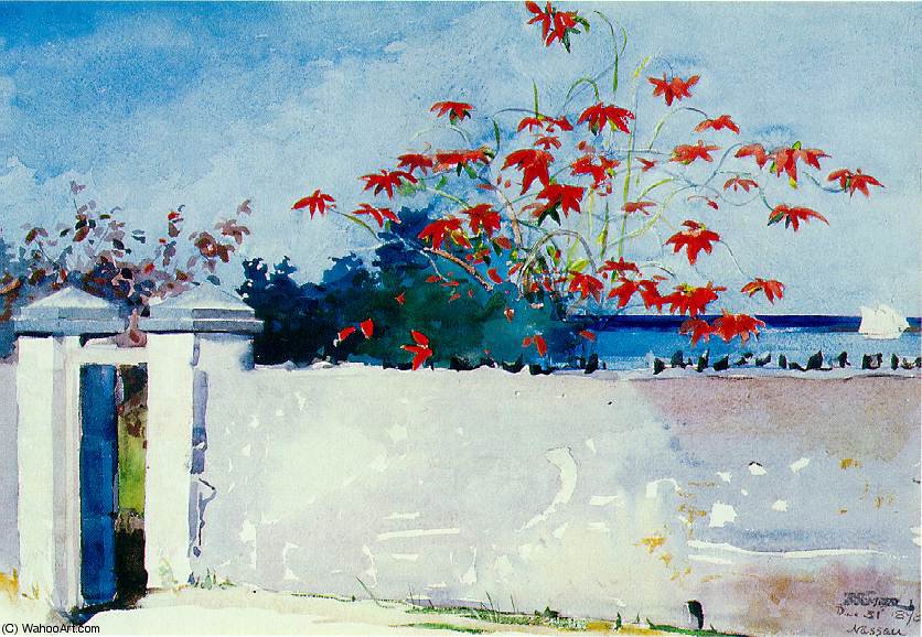A Wall, Nassau, Watercolor, Metropol — Winslow Homer