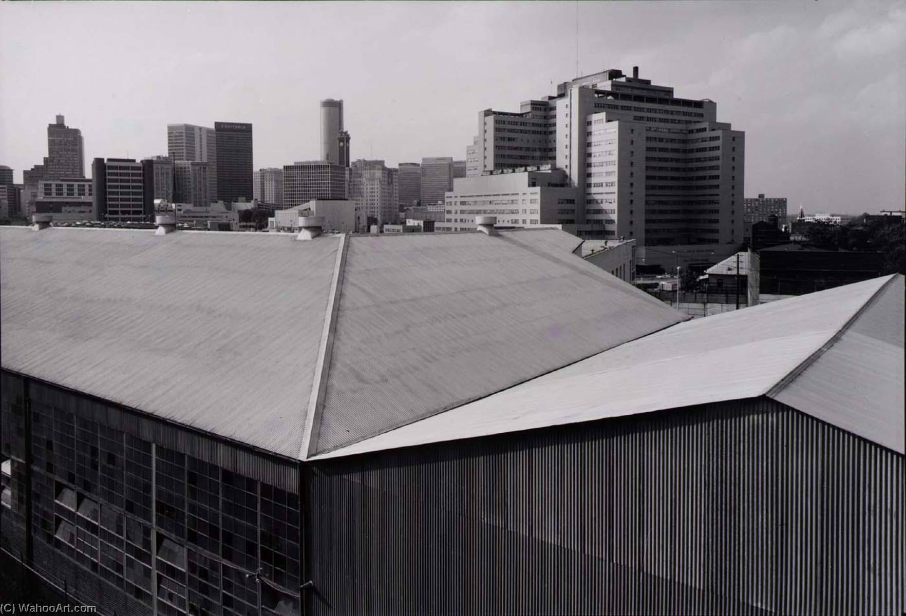 Untitled ( 29), Atlanta Historical Society — Martin Stupich