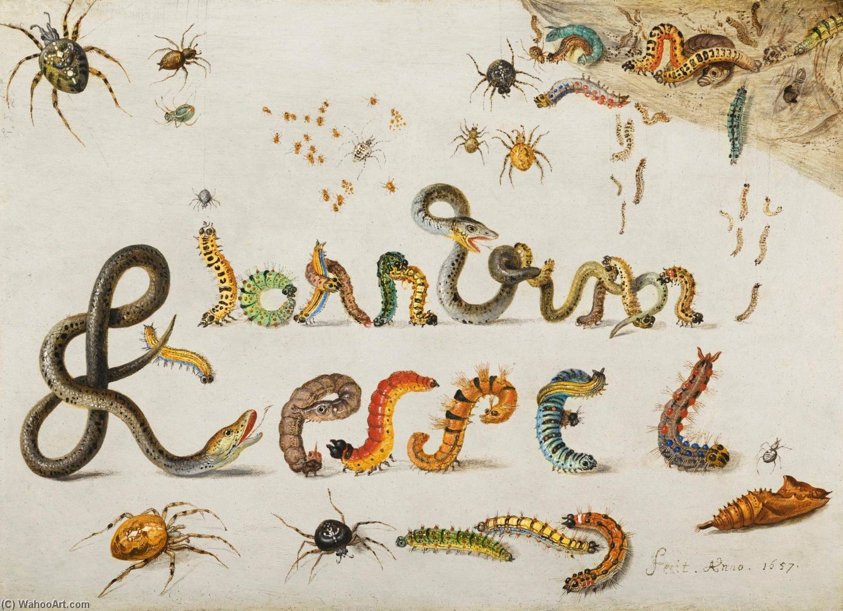 Garden And House Spiders With Grass Snakes And Caterpillars Contorted And Entwined To Spell The Artist's Name A Sprig Of Redcurrants With An Elephant Hawk Moth, A Ladybird, A Millipede And Other Insects — Jan Van Kessel The Elder