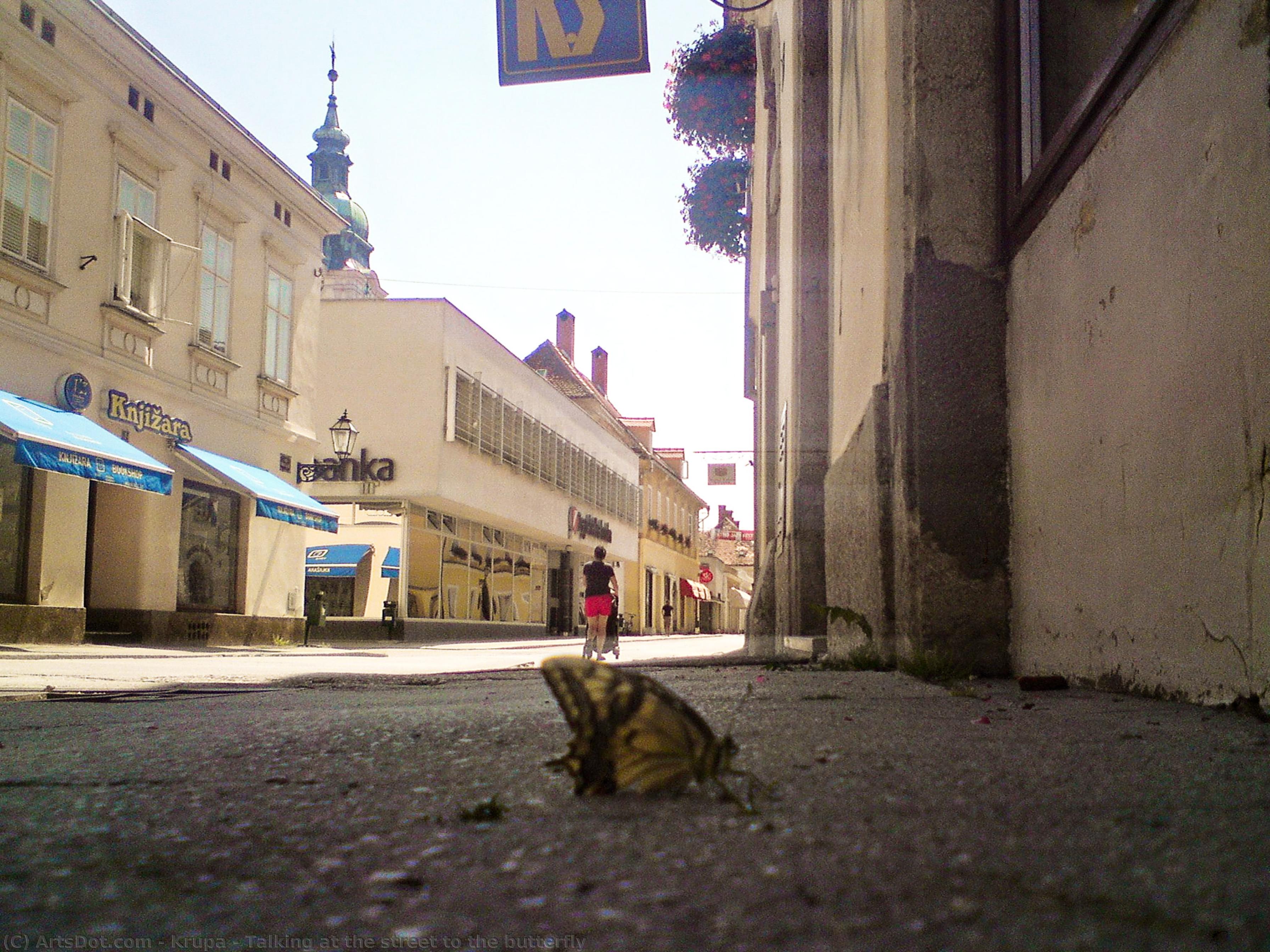 Talking At The Street To The Butterfly — Алфред Фреди Крупа