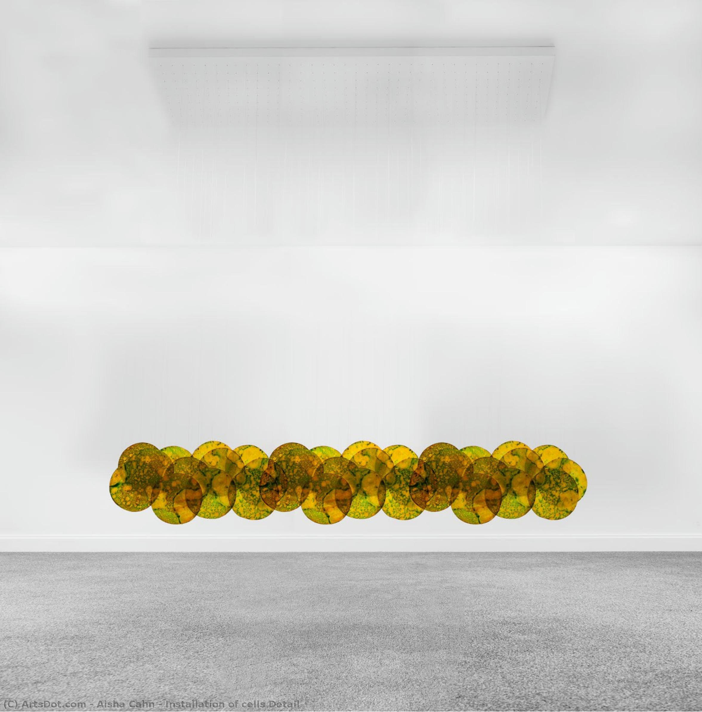 Installation Of Cells Detail — Aisha Cahn
