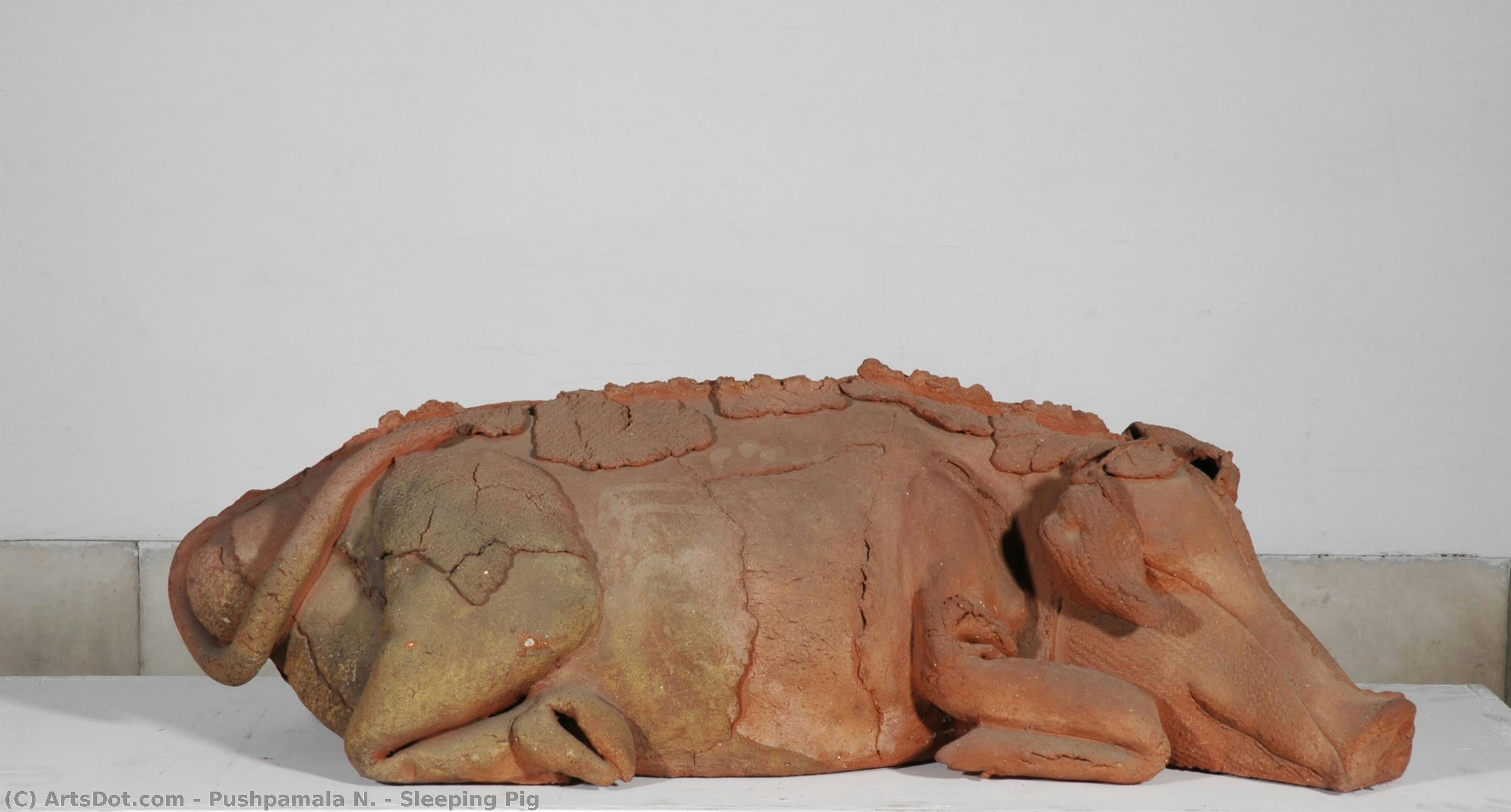 Sleeping Pig — Pushpamala N.