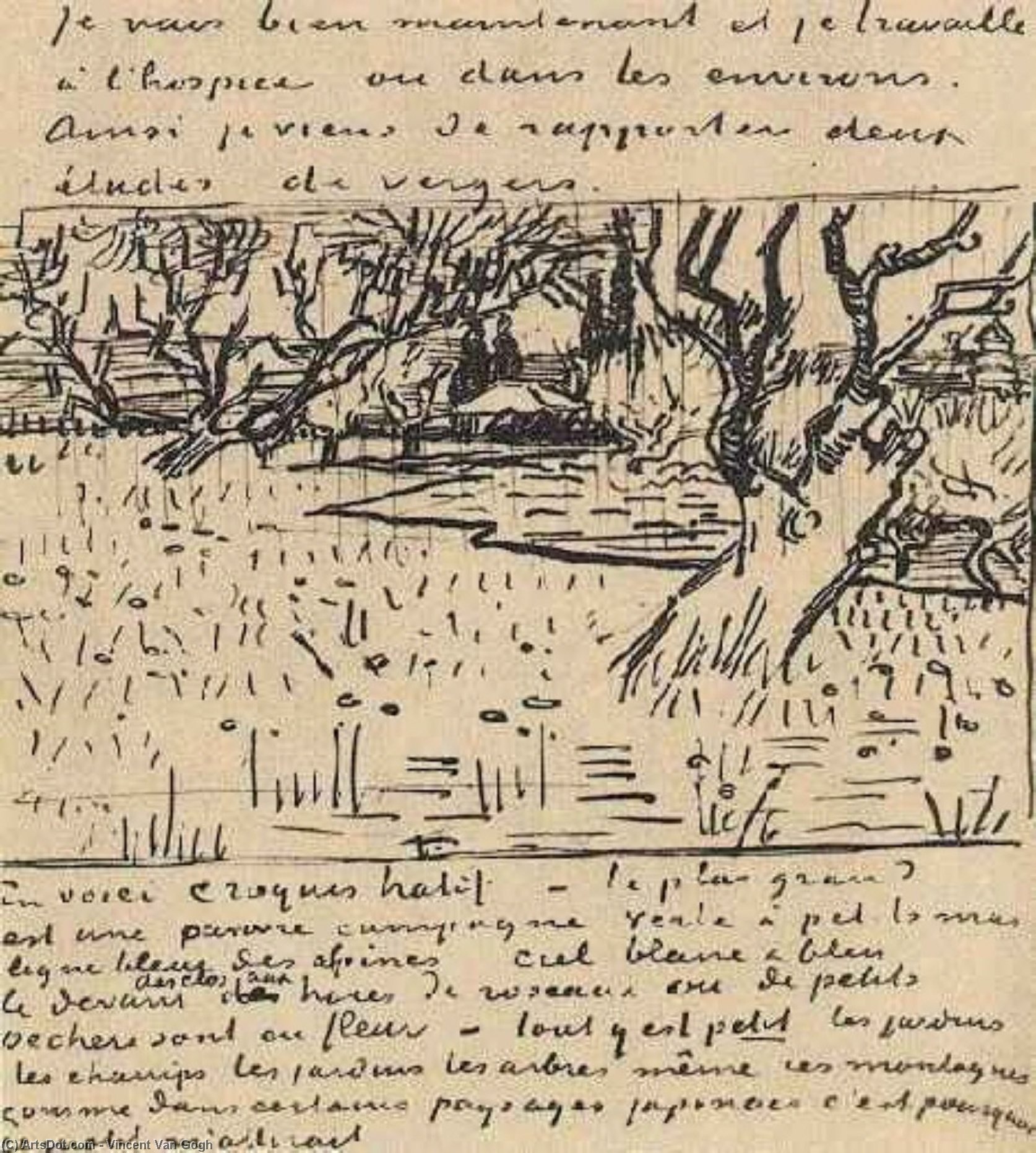 Orchard In Bloom Mit Blick Auf Arles — Vincent Willem Van Gogh