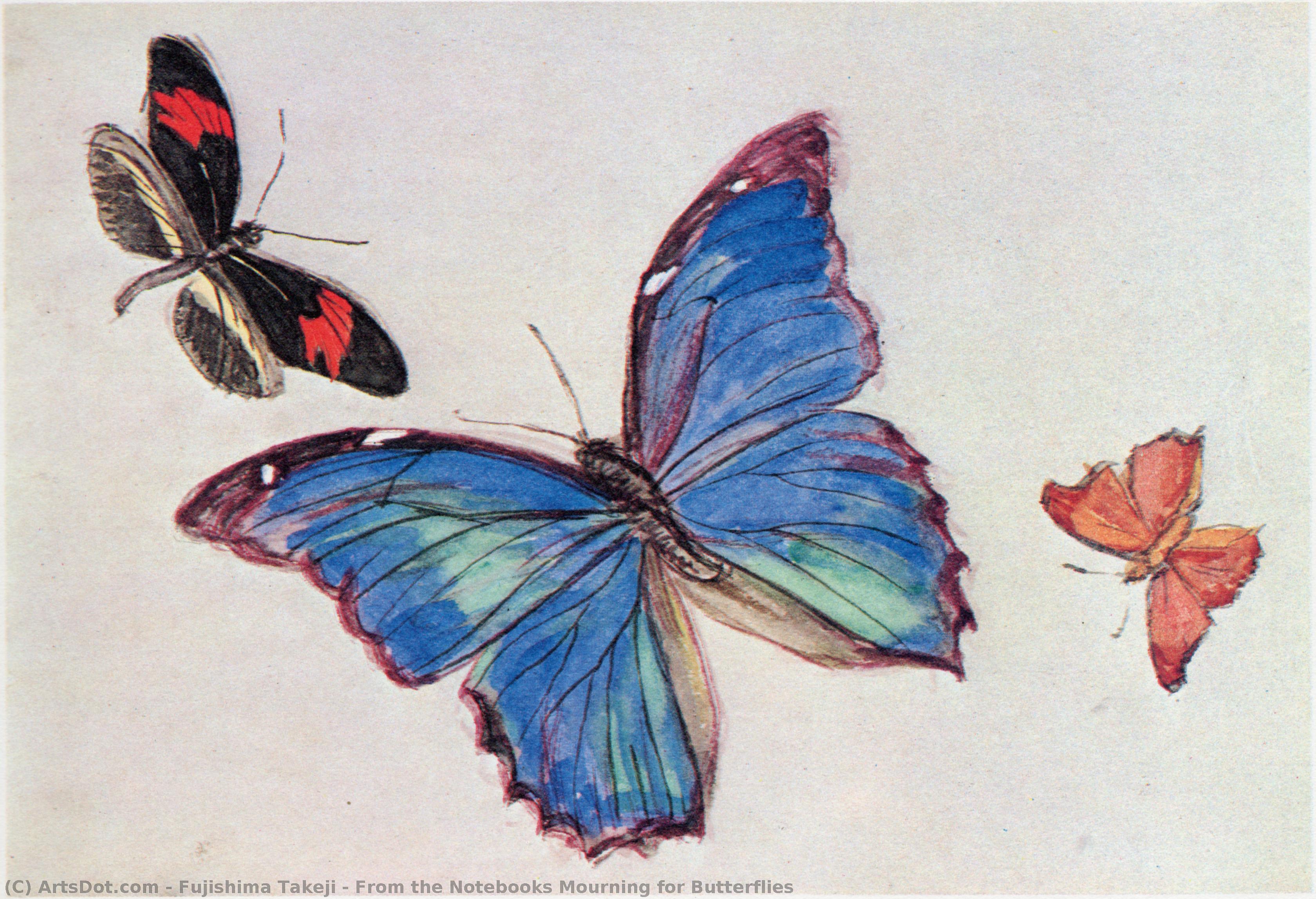 From The Notebooks Mourning For Butterflies — Fujishima Takeji