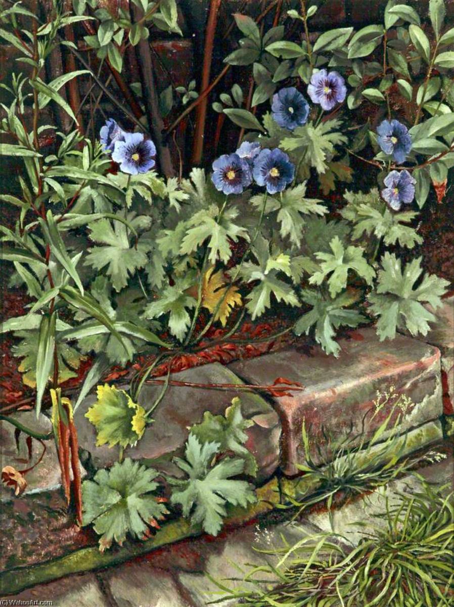 Blue Geraniums — Charles William Oliver