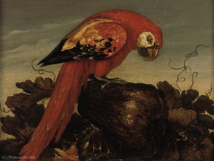 Parrot Sitting On A Large Vegetable, Eying A Small Lizard — Abraham Bosschaert