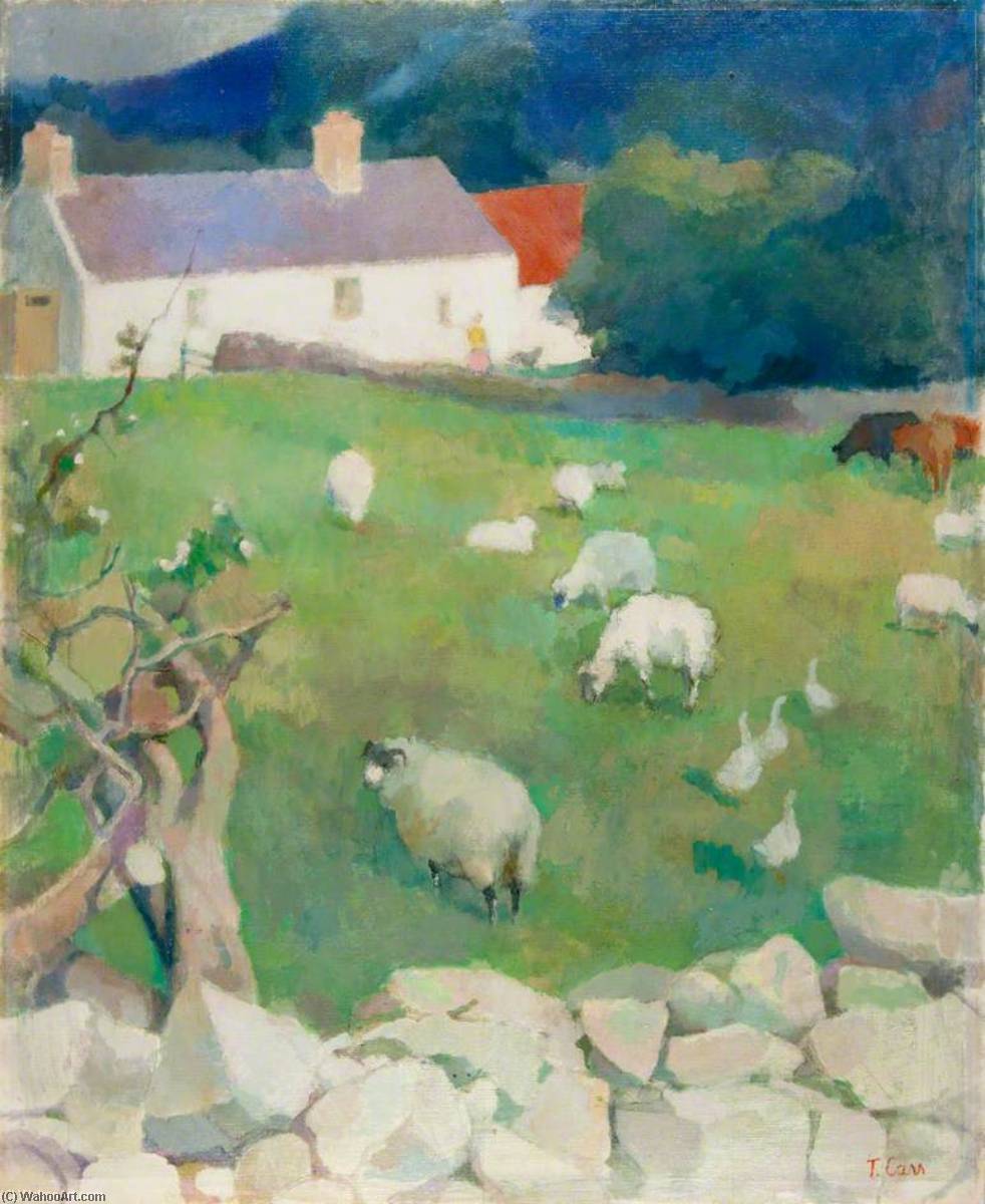 Mixed Farm, Slievenaman — Thomas James Carr