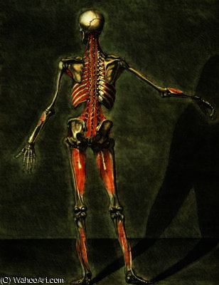 Deep Muscular System Of The Back Of The Body, Plate 10 Of A Complete Course Of Anatomy With Text By — Arnauld Eloi Gautier Dagoty