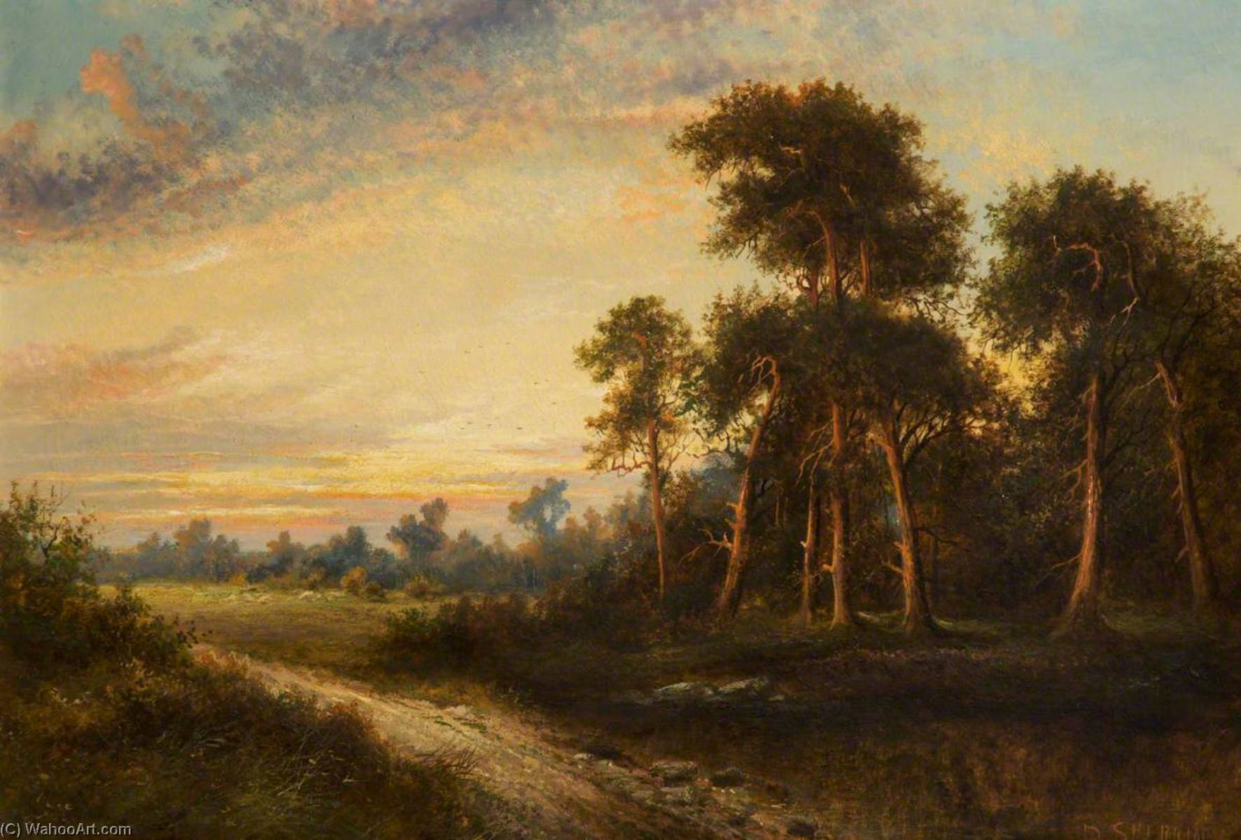 Evening Landscape — Daniel Sherrin