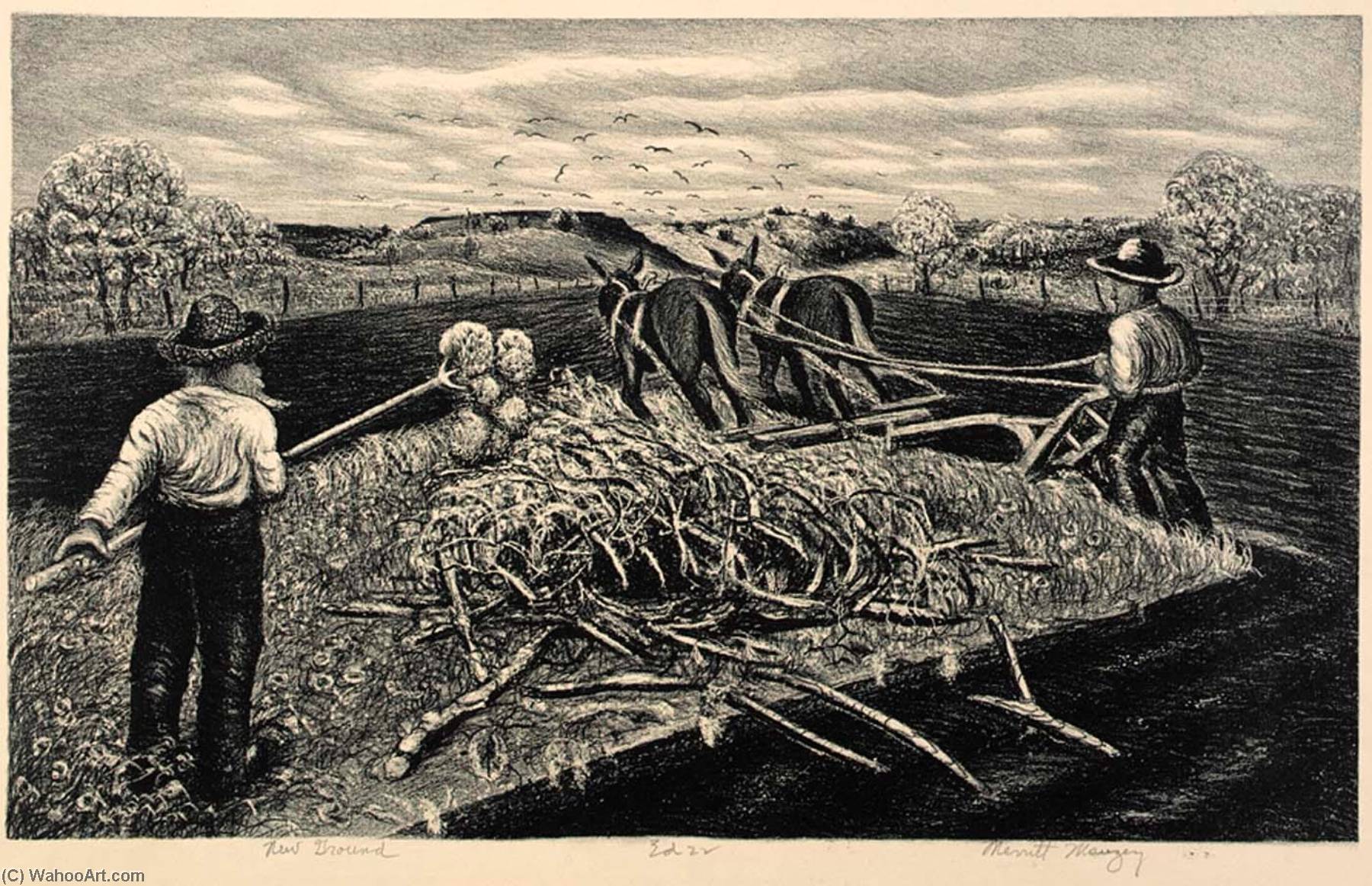 New Ground — Merritt Mauzey