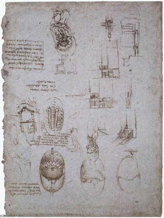 Studies Of The Villa Melzi And Anatomical Study — Leonardo Da Vinci