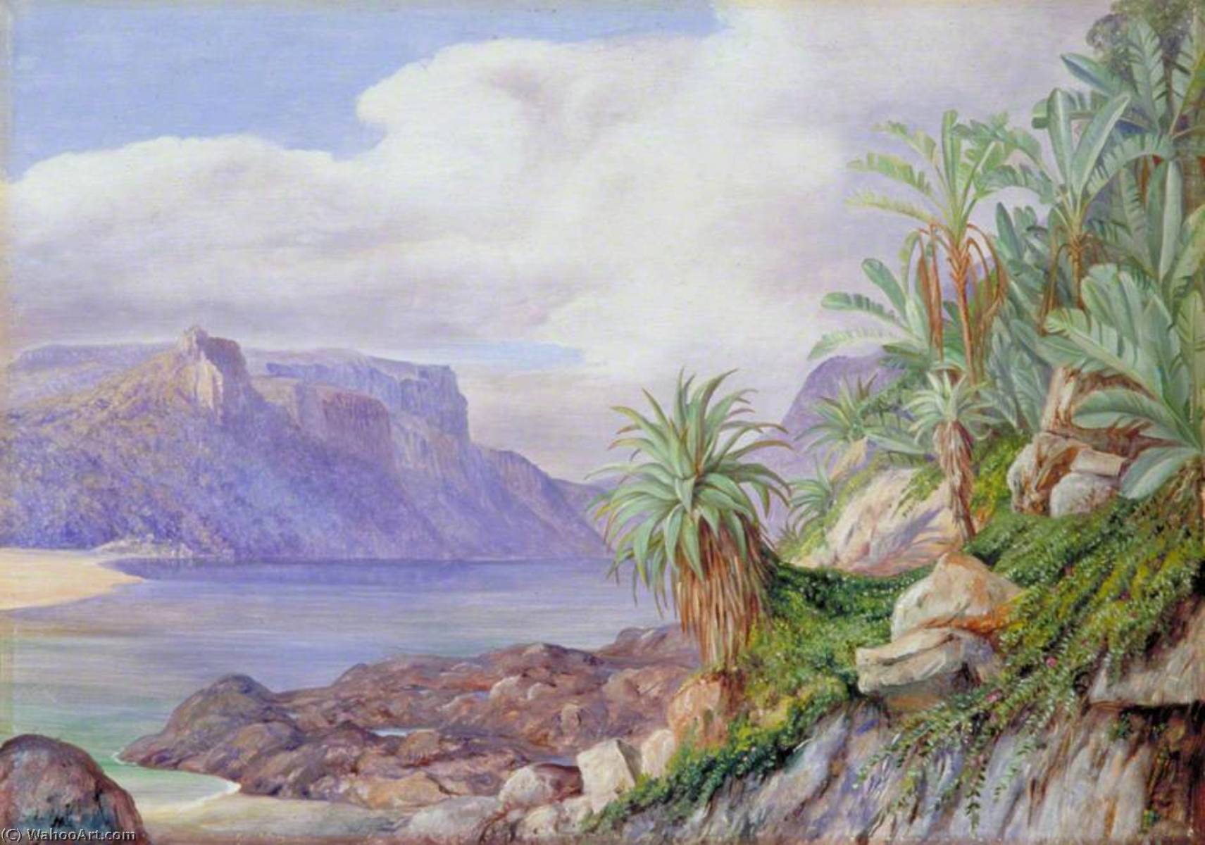 Blick Flussaufwärts Von Der Mündung Des St. John's River, Kaffraria — Marianne North