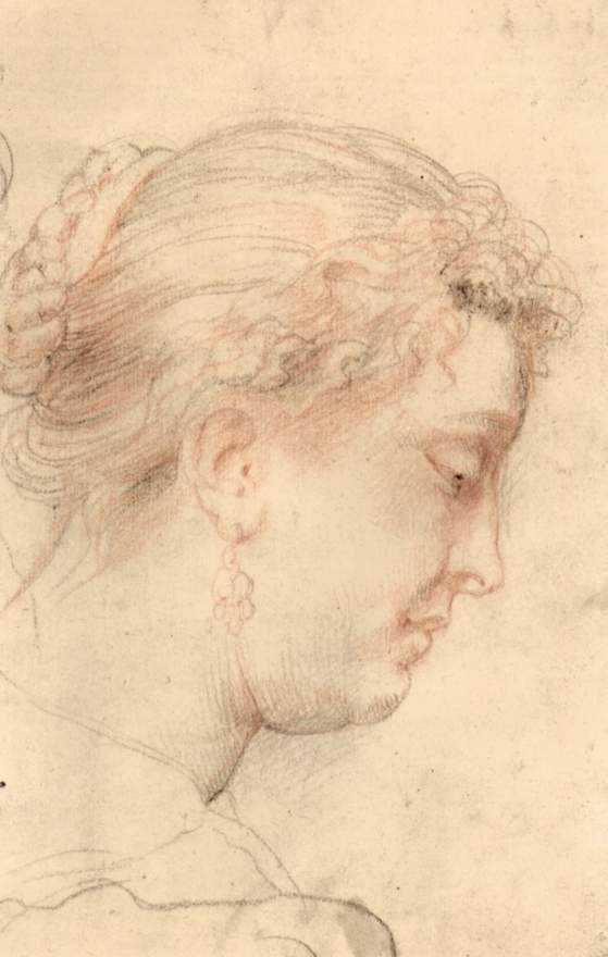 Head Of Woman — Peter Paul Rubens