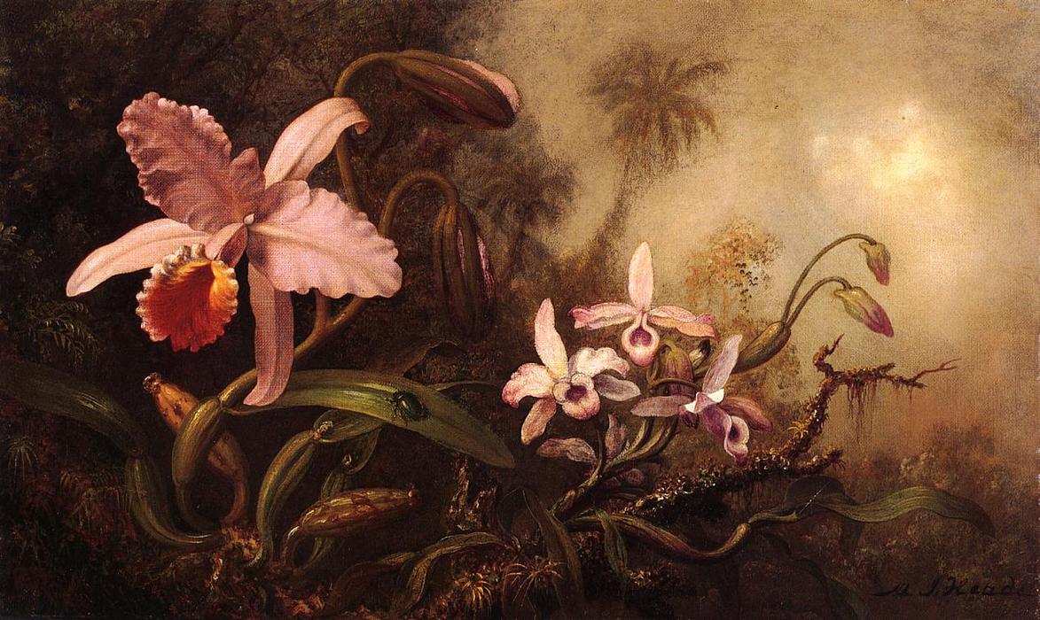 Orchids And A Beetle — Martin Johnson Heade