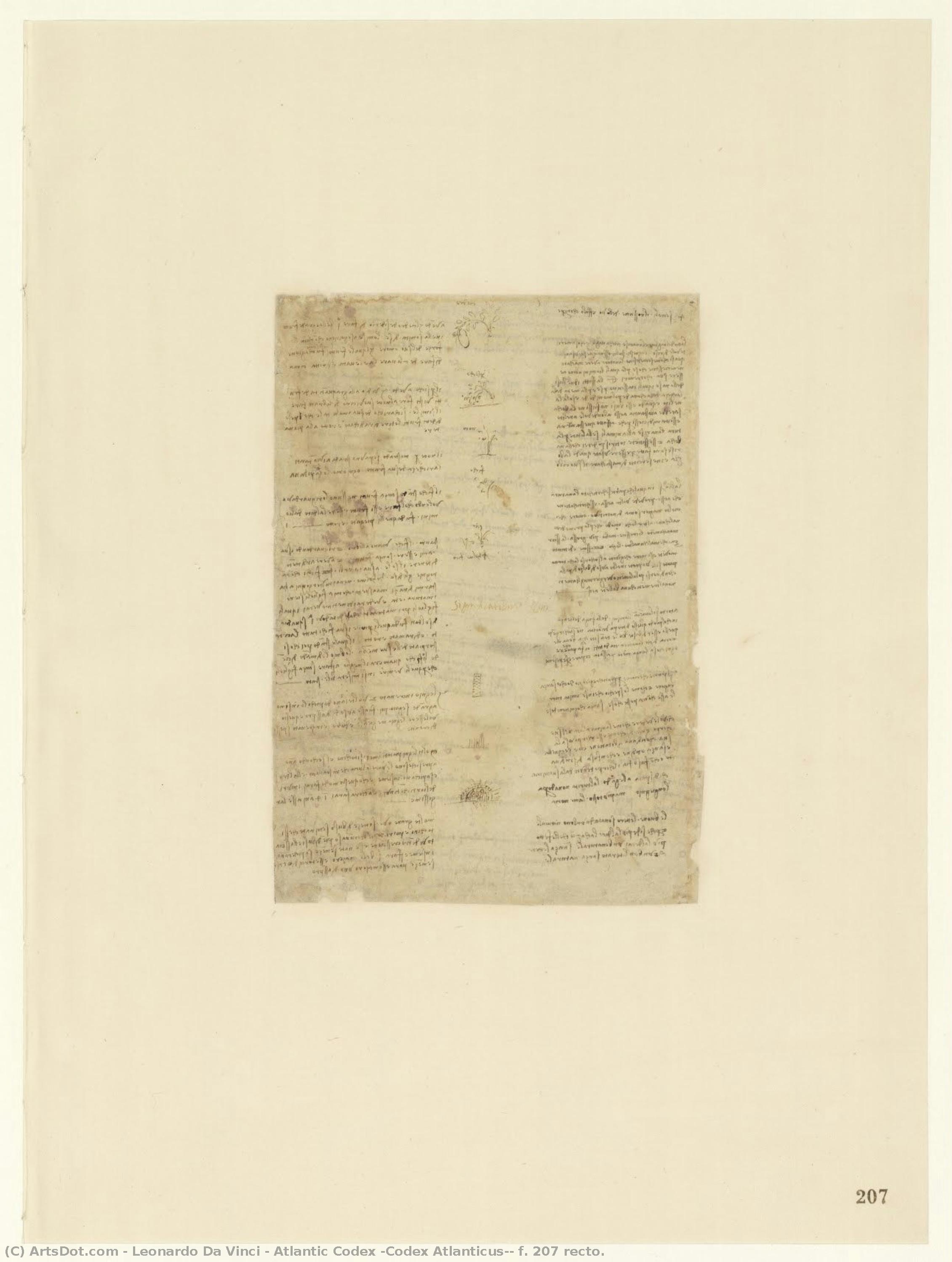 Atlantischer Codex (codex Atlanticus), Folio 207 Recto. — Leonardo Da Vinci