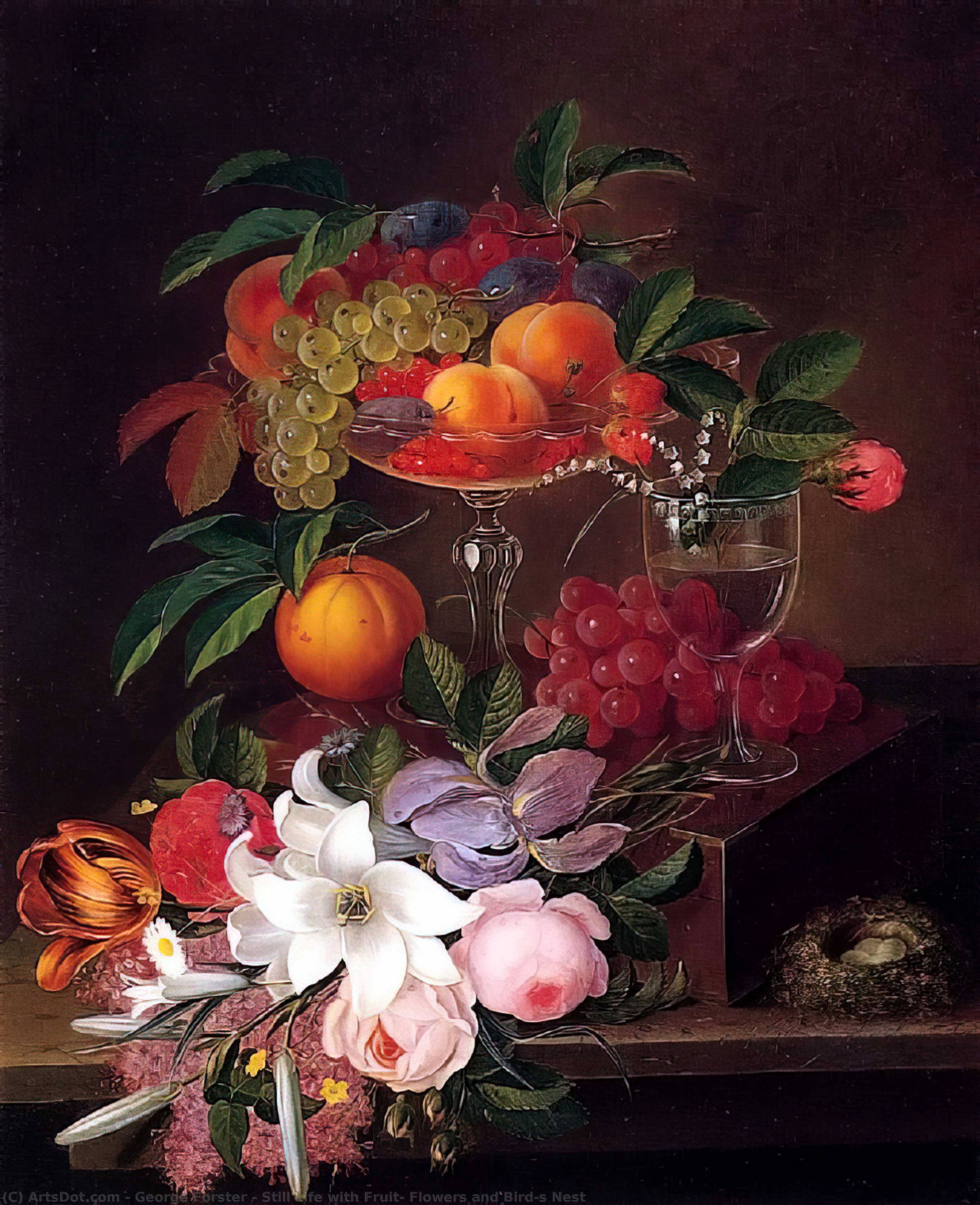 Still Life With Fruit, Flowers And Bird's Nest — Georg Forster