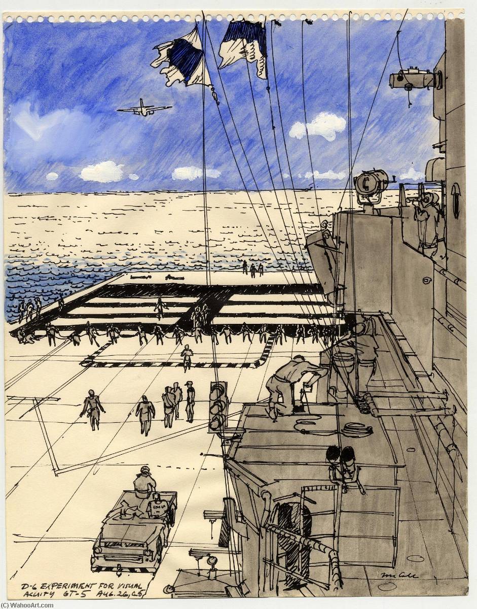 D 6 Experiment For Visual Acuity — Robert T Mccall