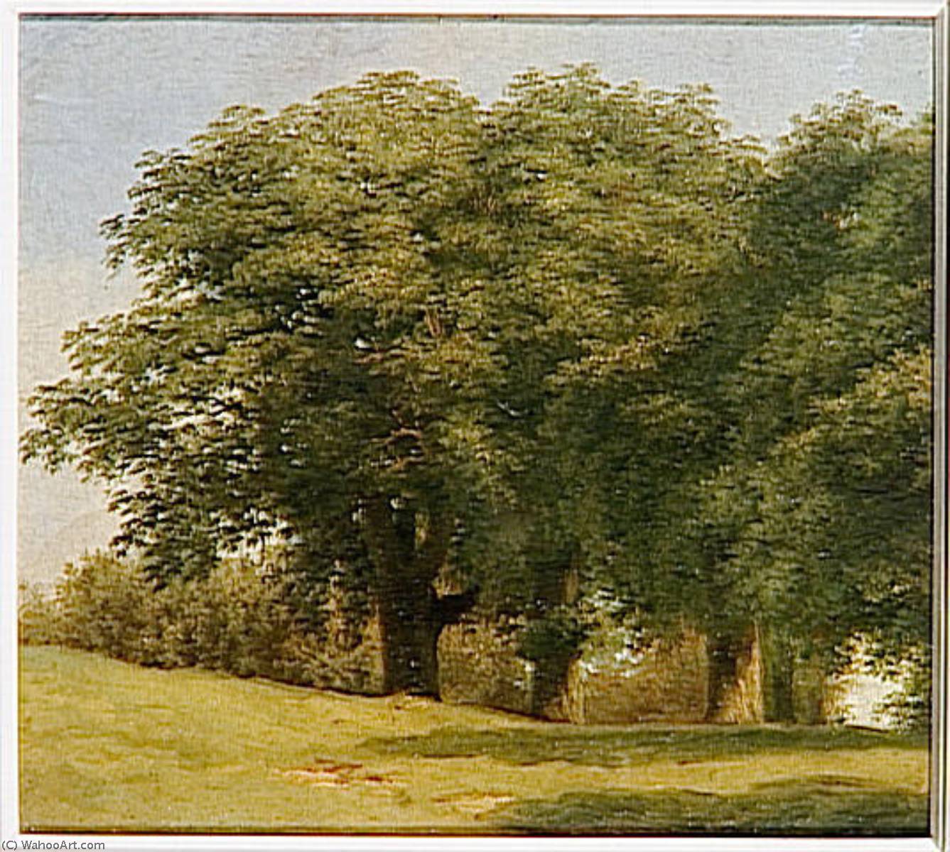 A La Villa Borghese Chemin Borde D'arbres — Pierre-henri De Valenciennes