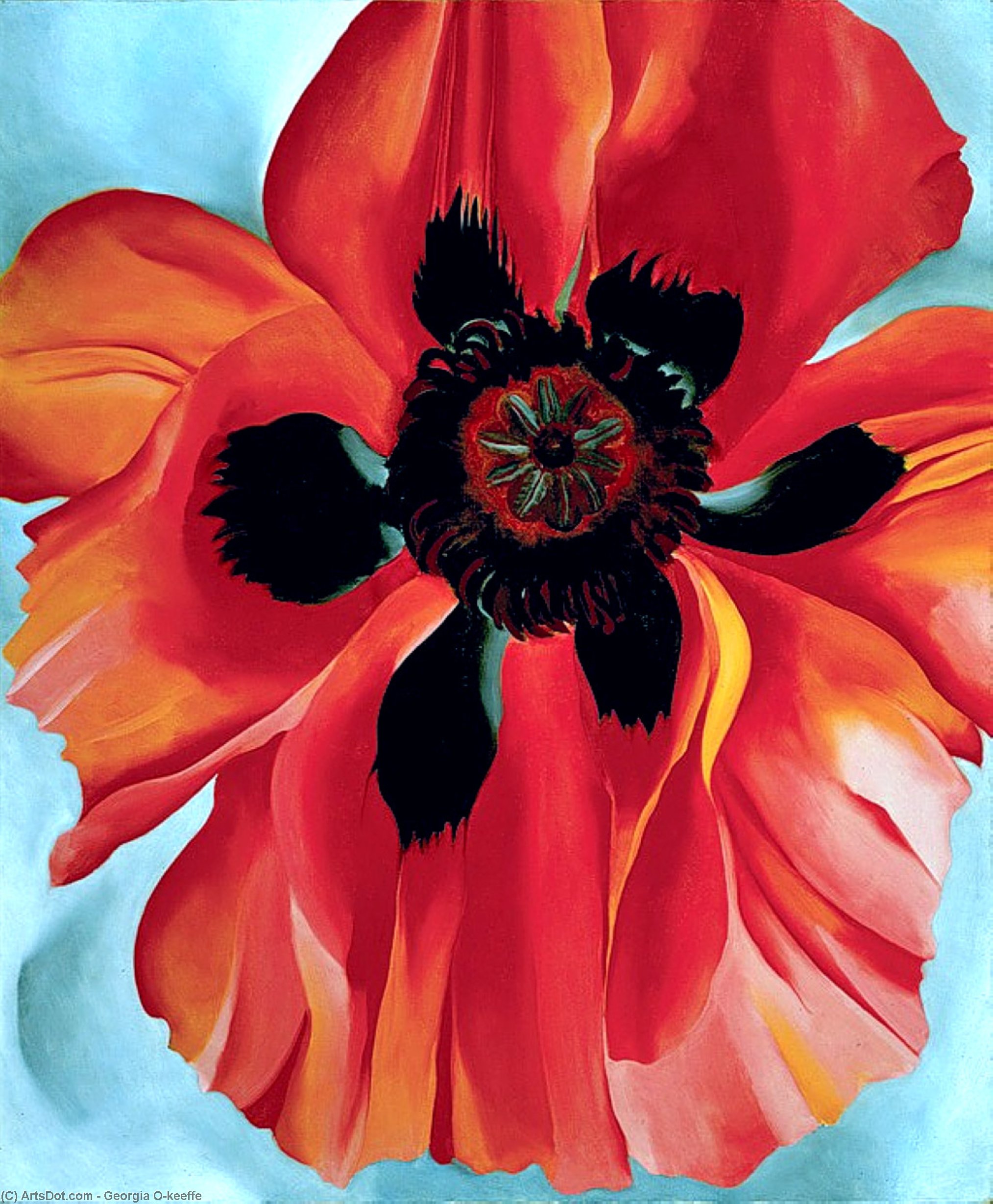 Red Poppy Vi — Georgia O’keeffe
