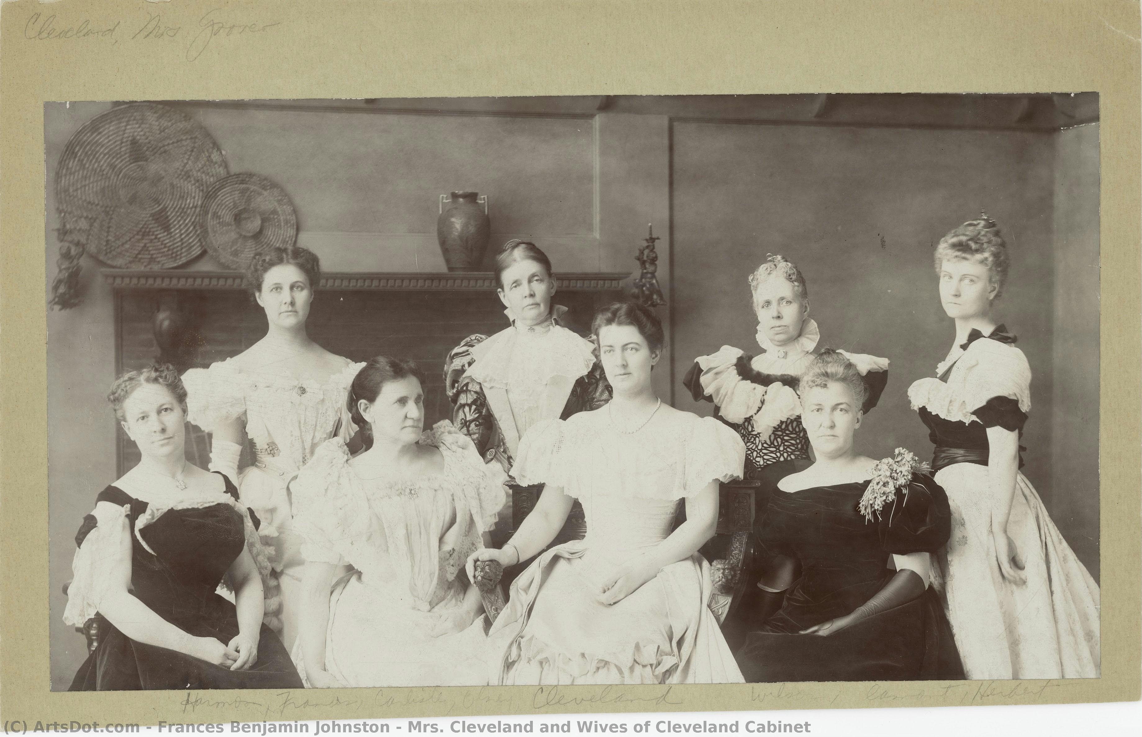 Mrs. Cleveland And Wives Of Cleveland Cabinet — Frances Benjamin Johnston