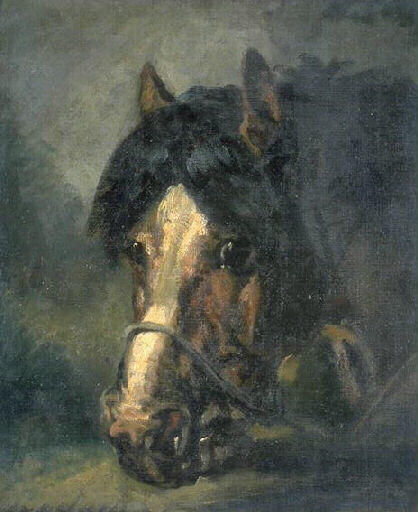 Tête De Cheval — Bonheur Marie Rosalie