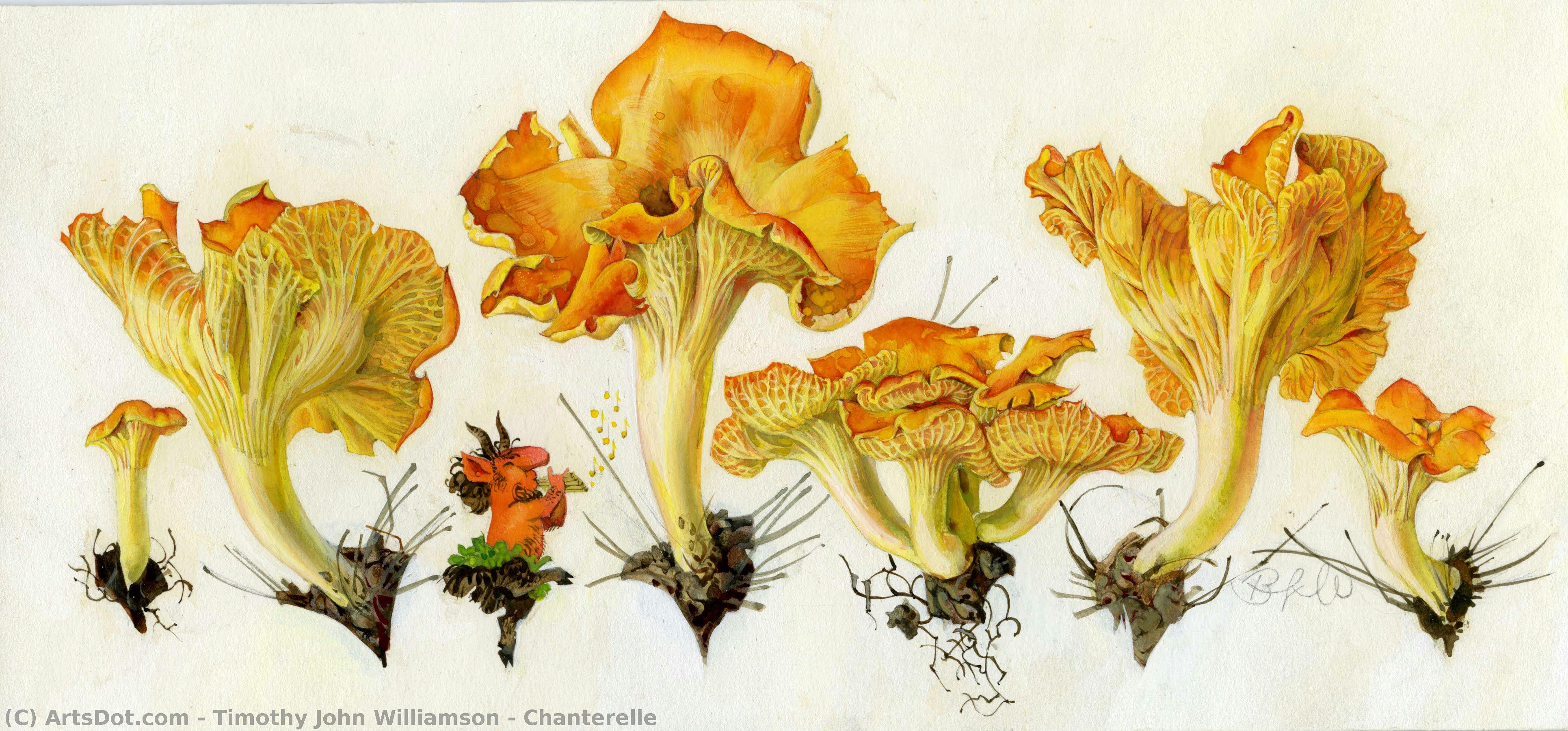 Chanterelle — Тимофей Джон Уильямсон