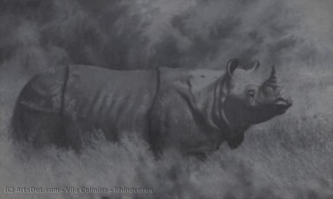 Rhinoceros — Vija Celmins