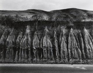 Erosion — Wynn Bullock