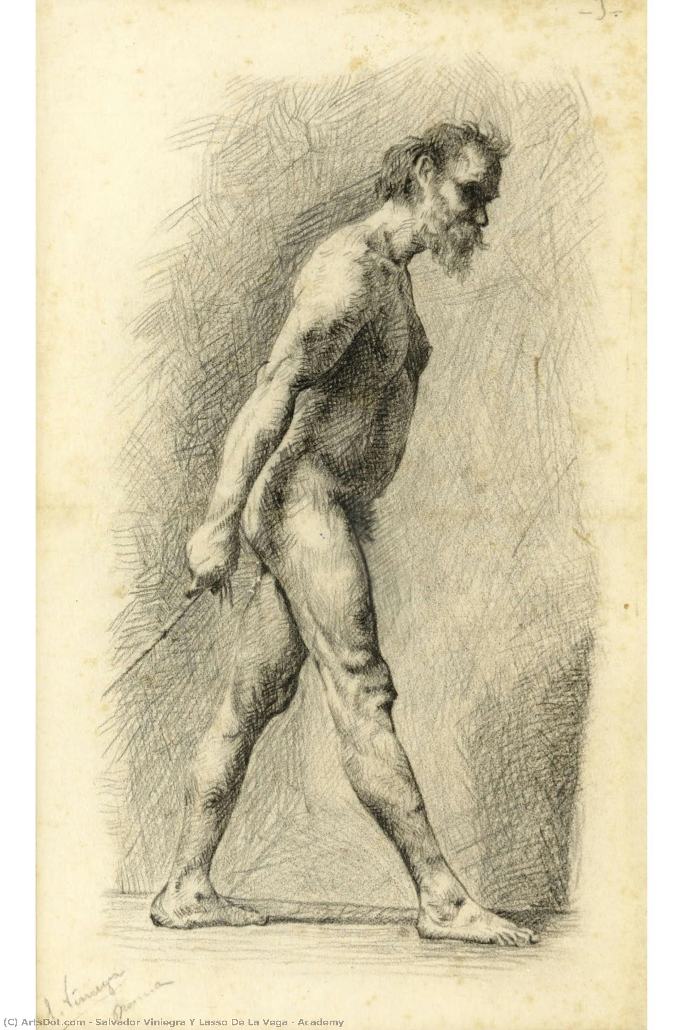Academy — Salvador Viniegra Y Lasso De La Vega