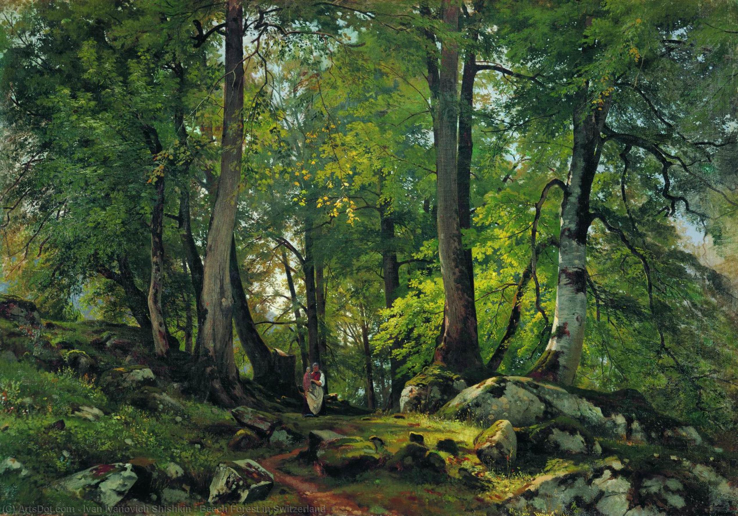 Beech Forest In Switzerland — Иван Шишкин