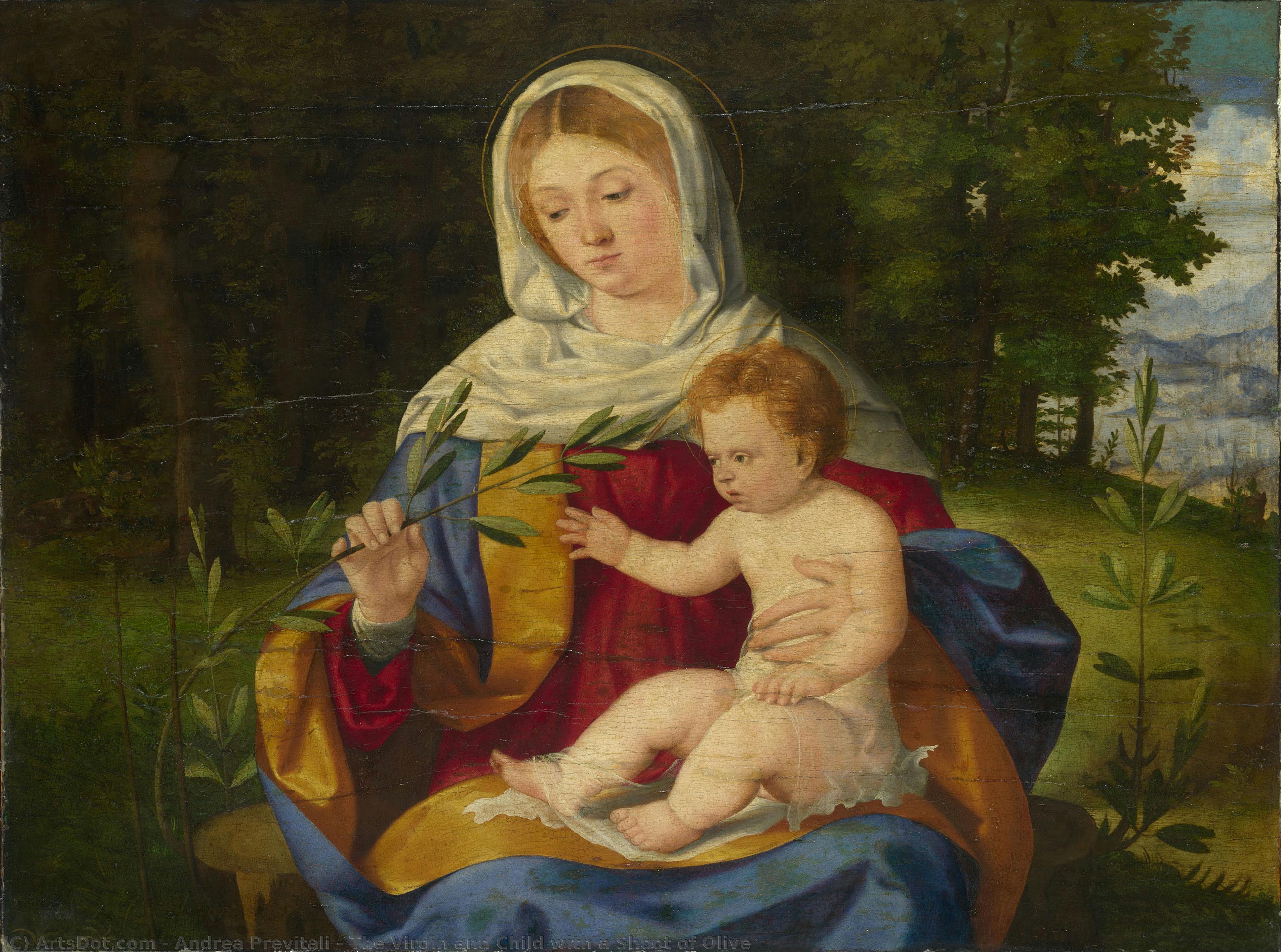 The Virgin And Child With A Shoot Of Olive — Andrea Previtali