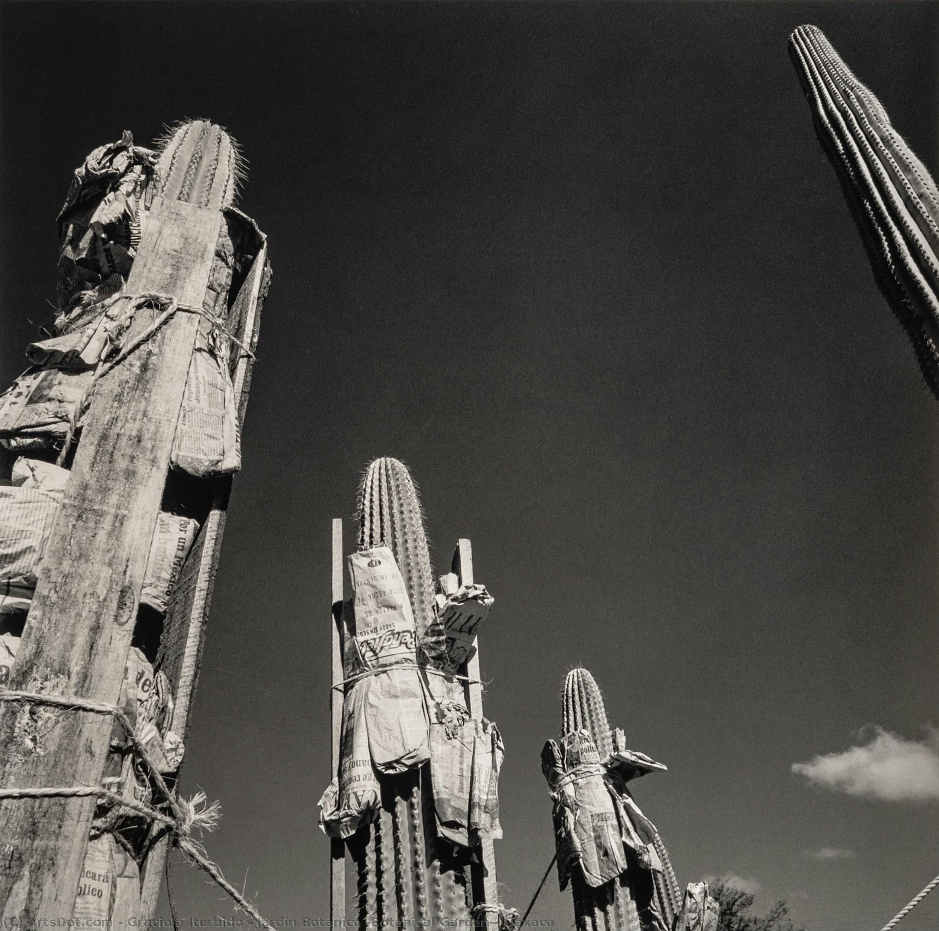 Jardín Botánico (botanical Garden), Oaxaca — Graciela Iturbide