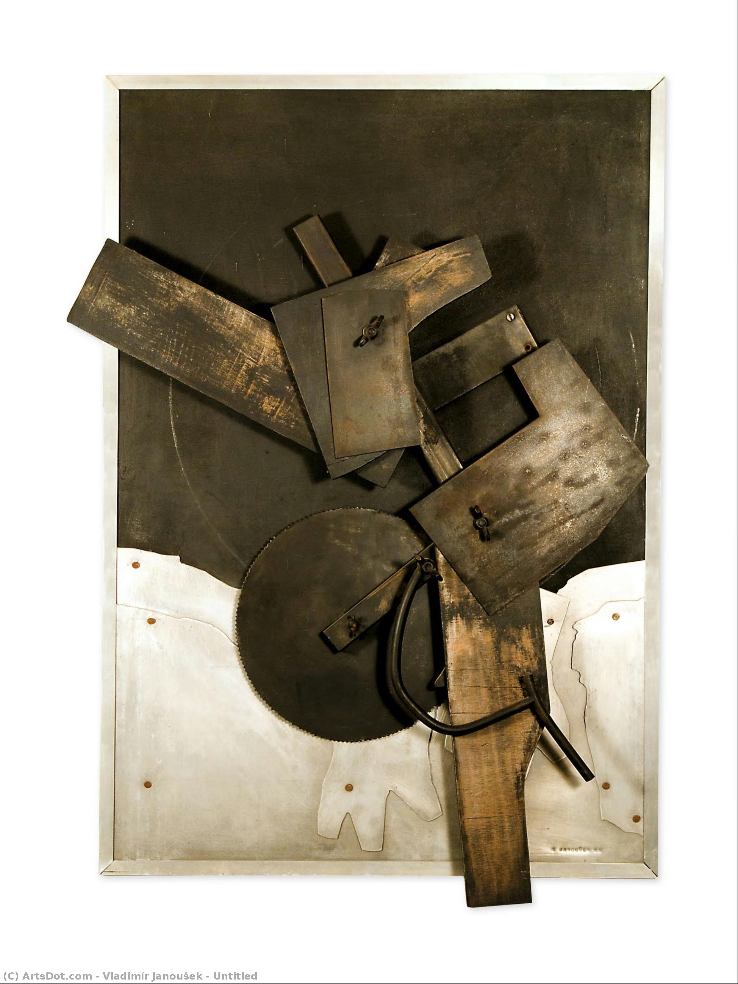 Untitled — Vladimír Janoušek