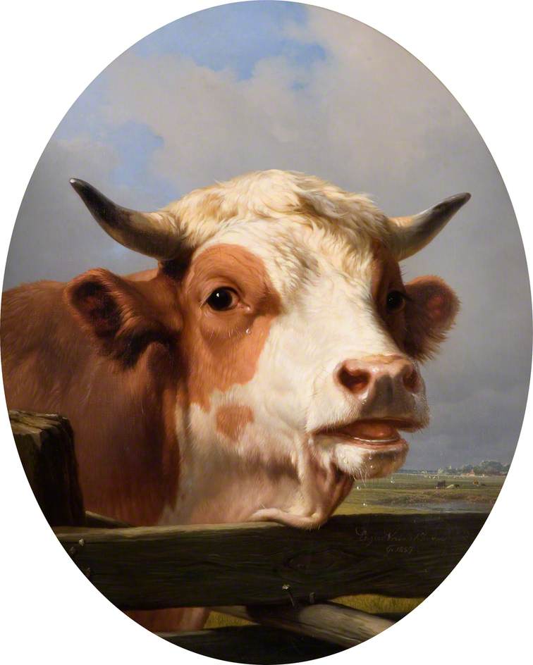 Bull's Head — Эжен Жозеф Вербуеквен