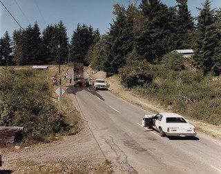 Exhausted Renegade Elephant, Woodland, Washington — Joel Sternfeld