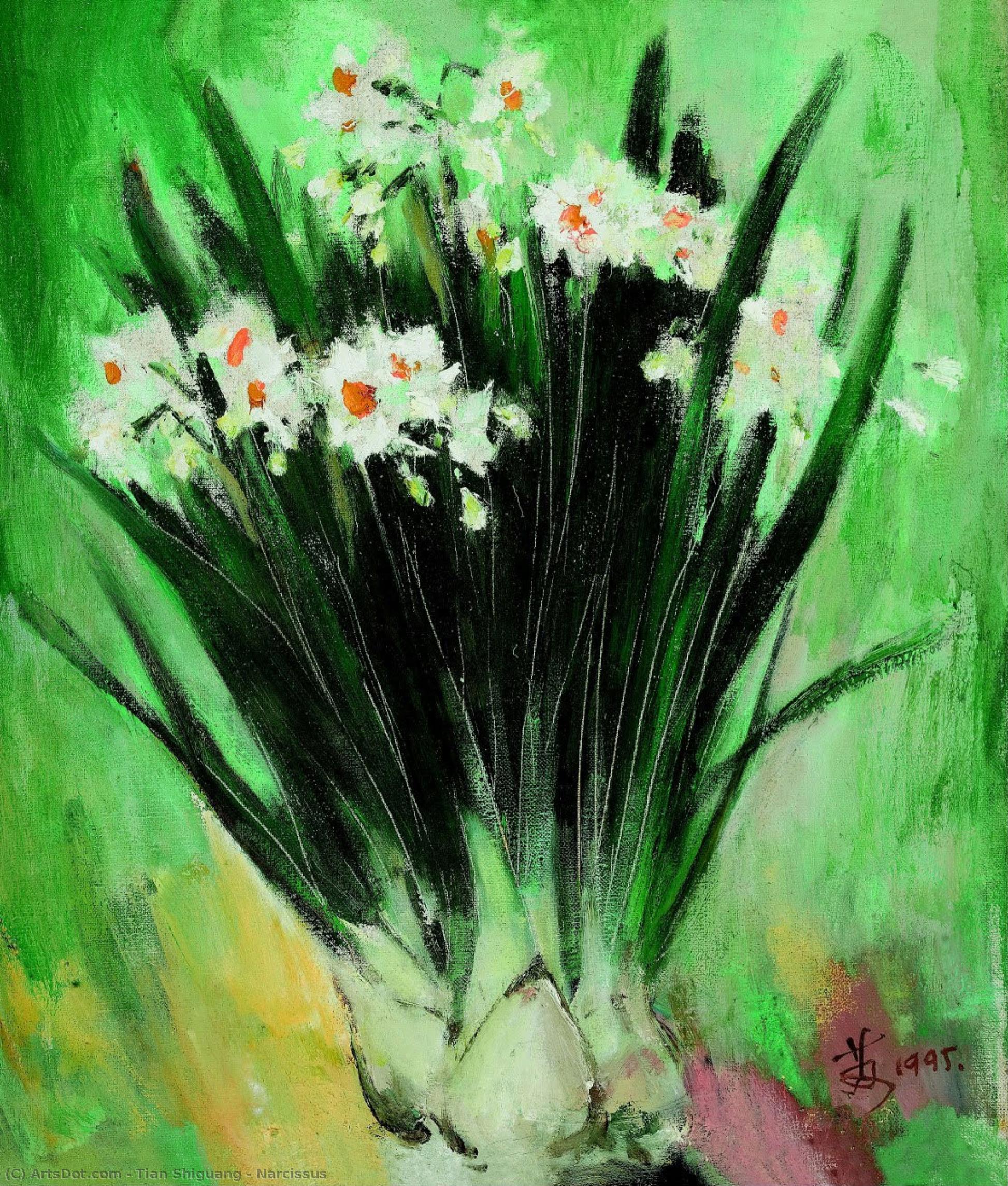 Narcissus — Tian Shiguang