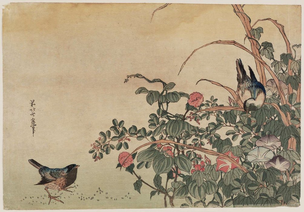 Bluebirds With Morning Glories And Lespedeza — Katsushika Hokusai